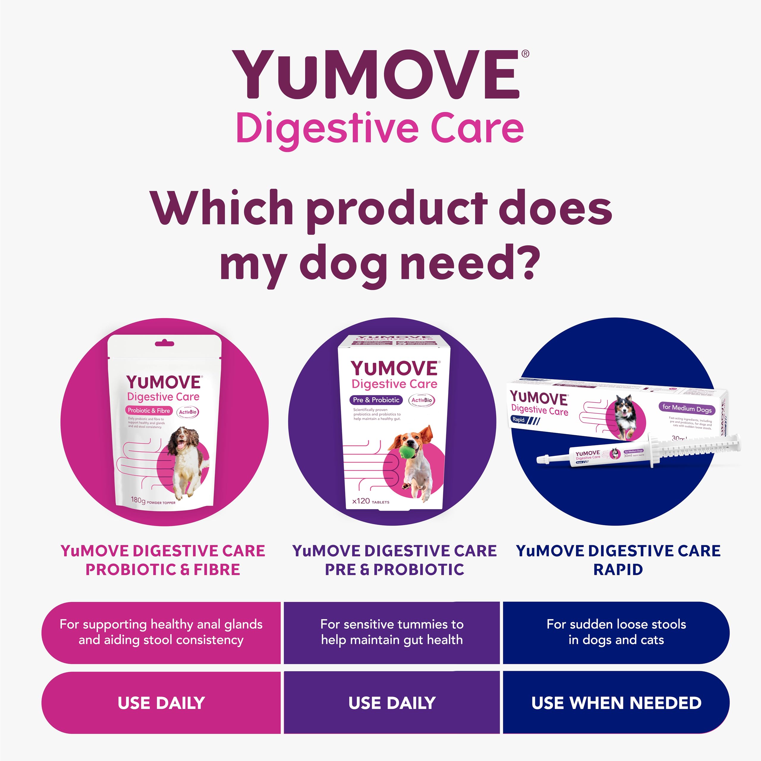YuMOVE Digestive Care Rapid Dog Pre and Probiotic Paste for Gut Health | 2 Pack | 60ml Total 5