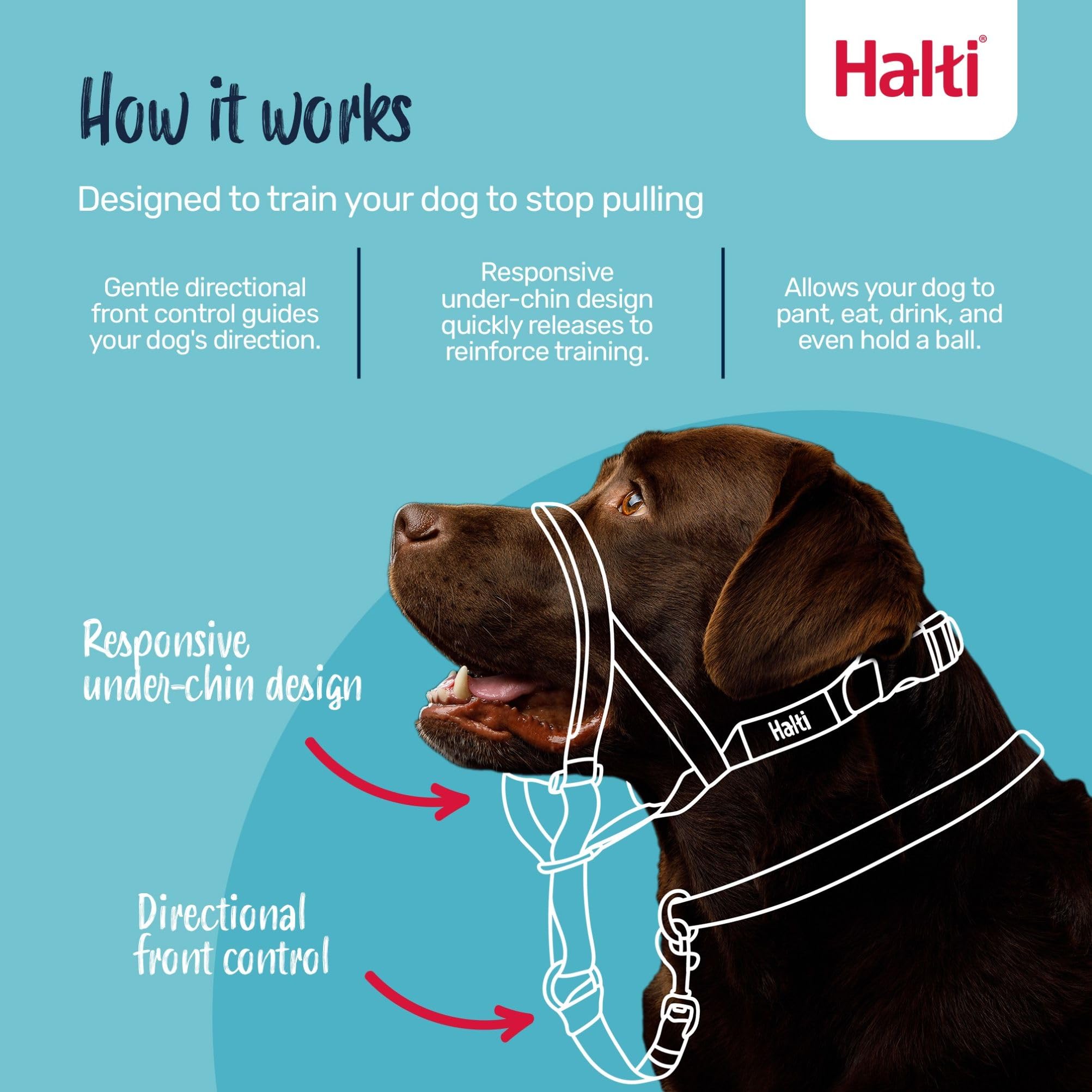 Halti Headcollar - Stops Pulling | Size 4 Large Dog | Forest Green Nylon