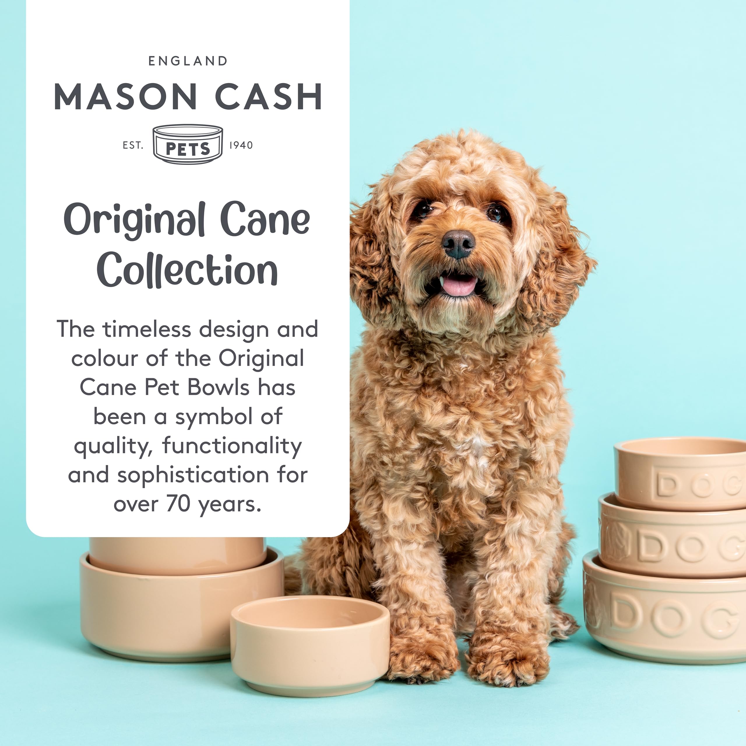 Mason Cash Cane Dog Bowl - 20cm Large Stoneware Pet Bowl | 1.6 Litre Capacity 4