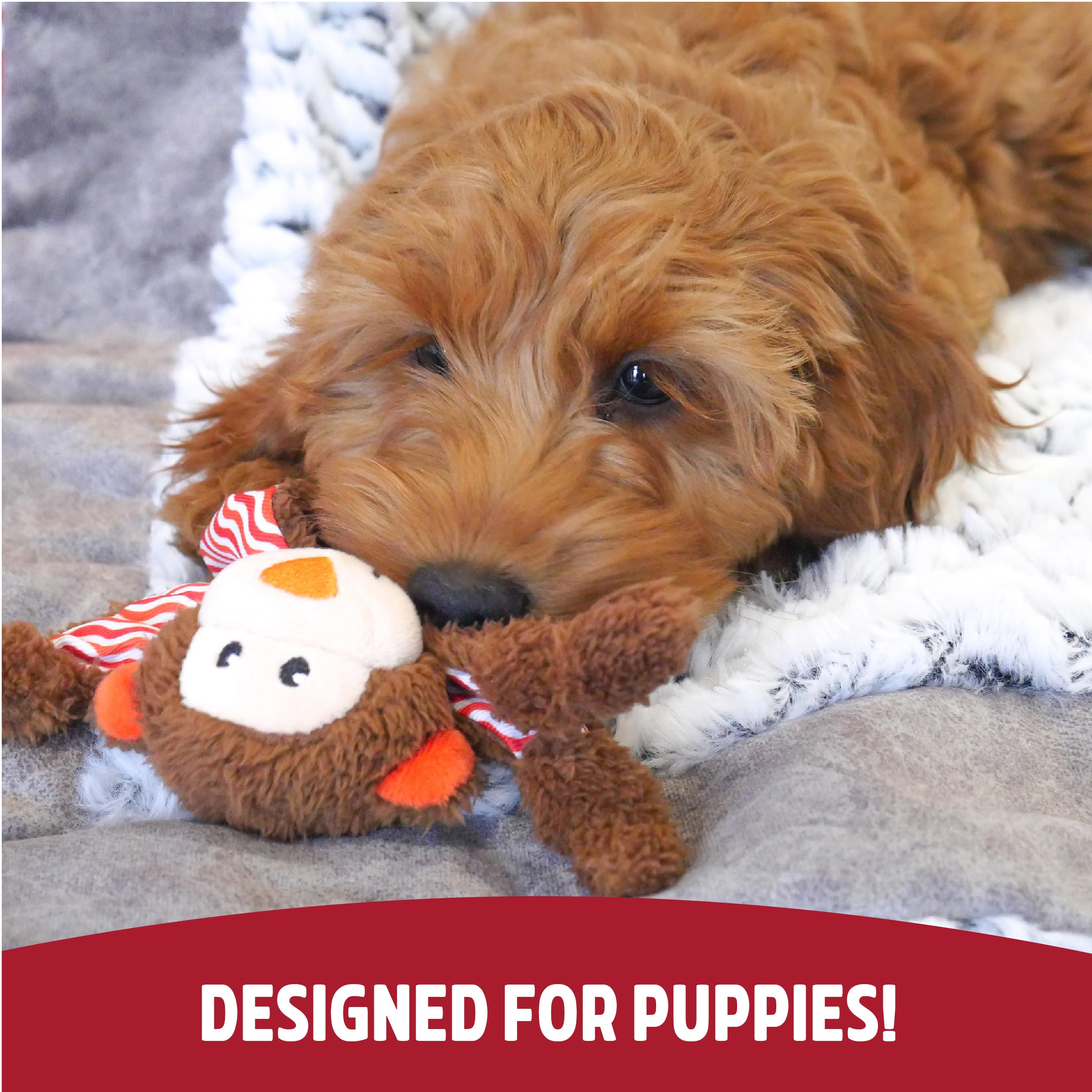 Rosewood Little Nippers Cheeky Chimp Puppy Toy | Soft Plush with Squeak & Crinkle