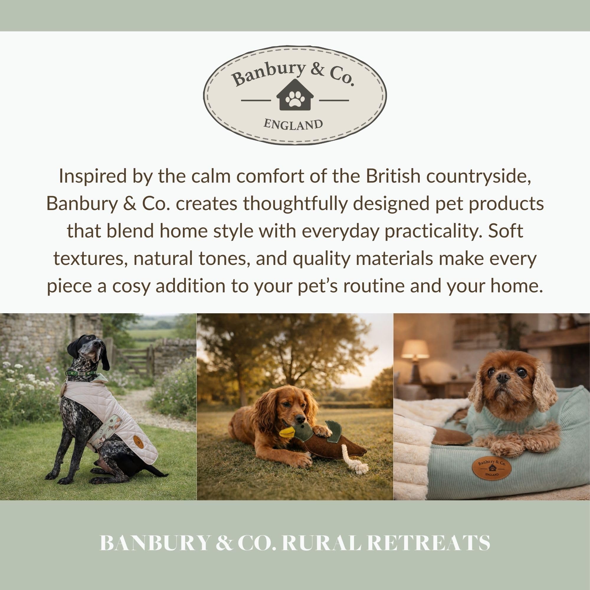 Banbury & Co Ceramic Dog Bowl - 400ml | Blue | Dishwasher Safe 7