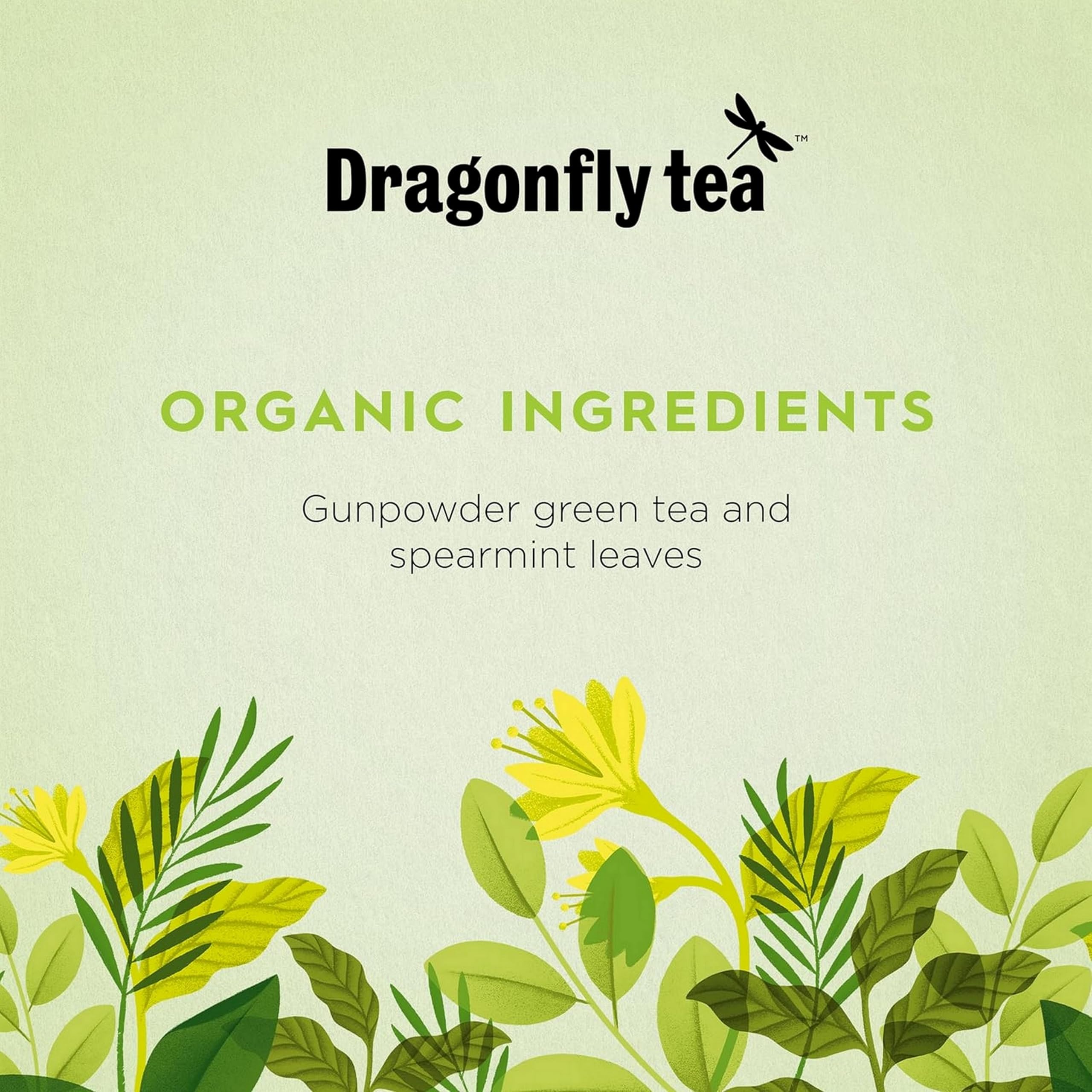 DRAGONFLY Organic Green Tea Moroccan Mint - 20 Teabags per Box, Pack of 4 (80 Total Teabags) 2