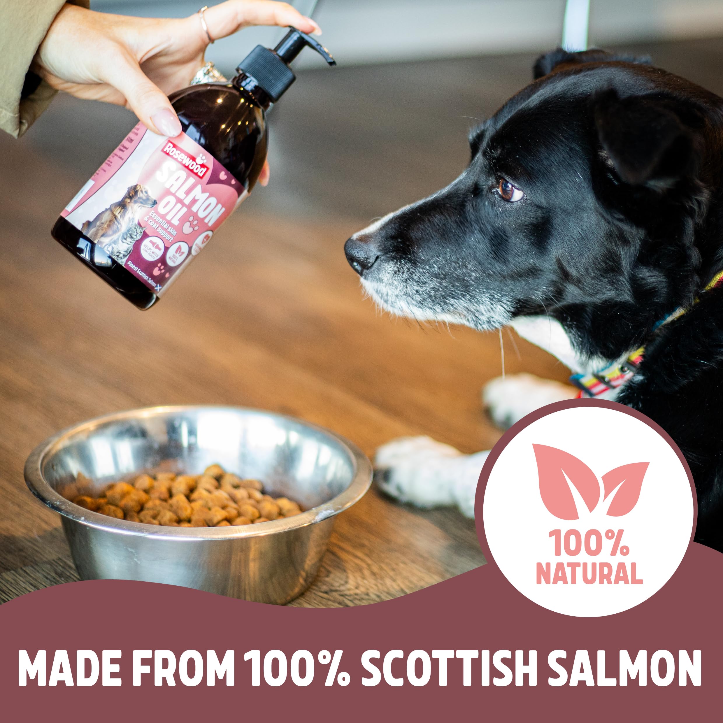 Rosewood Scottish Salmon Oil - Rich in Omega 3, 6 & 9 Fatty Acids for Healthy Skin & Coat | 500ml 2
