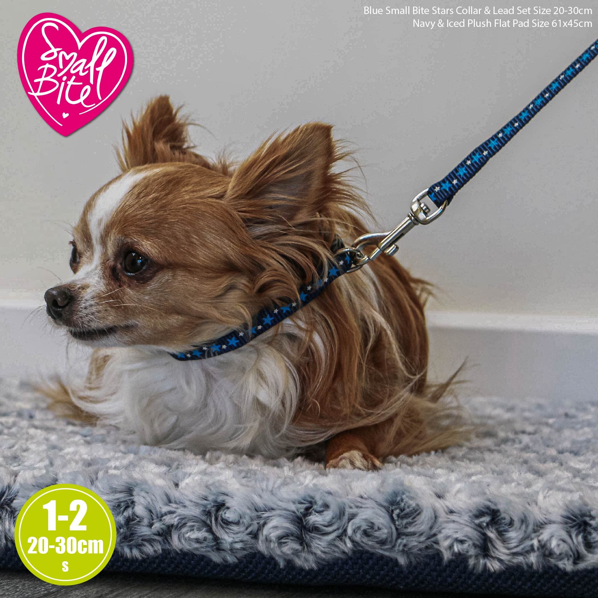 Ancol Small Bite Stars Collar & Lead Set Blue | Adjustable 20-30cm Collar | 1m Lead
