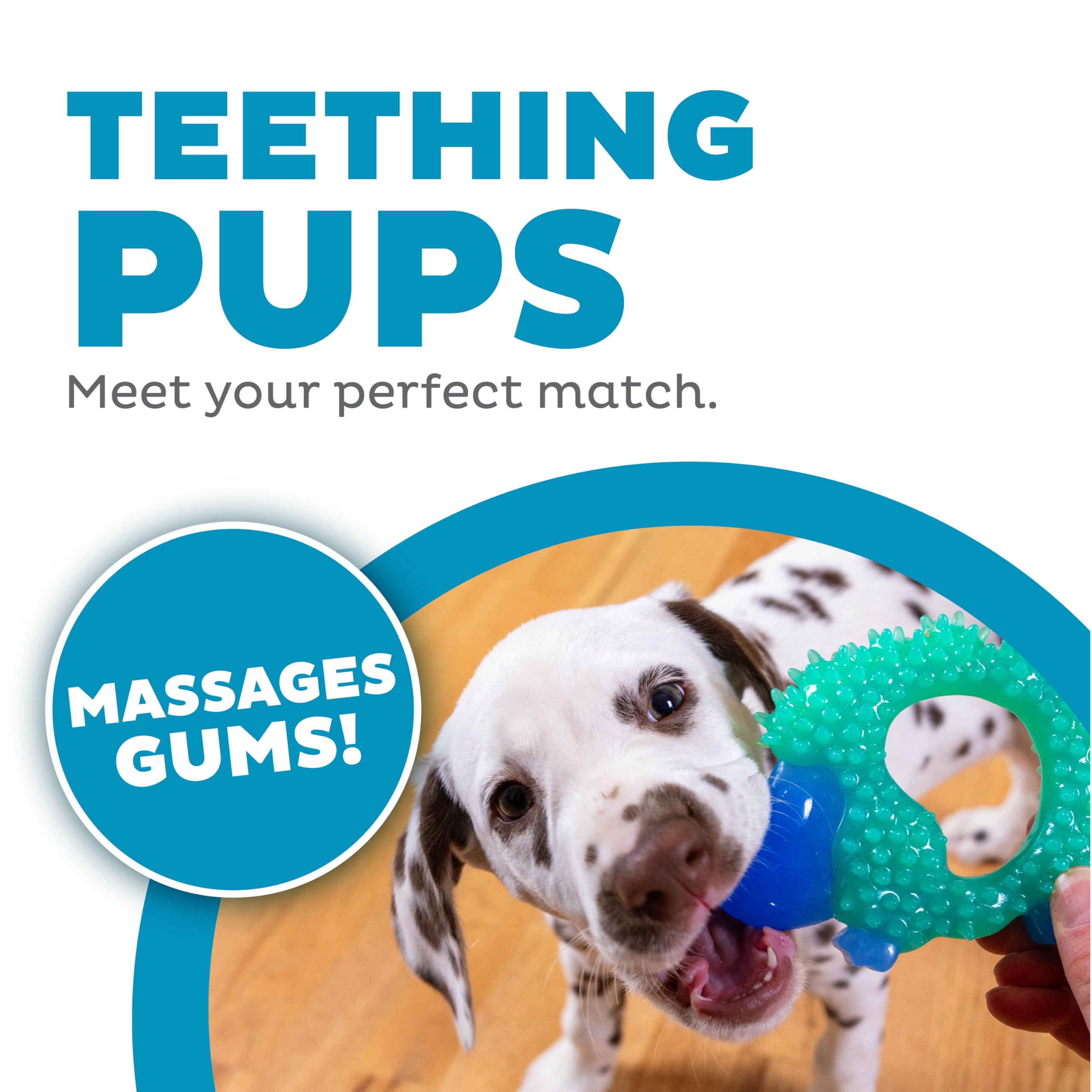 Pupstages Cutie Chewies Hedgehog Dog Chew Toy - Small Dog & Puppy Teething Aid | Bounces & Floats | Blue 3