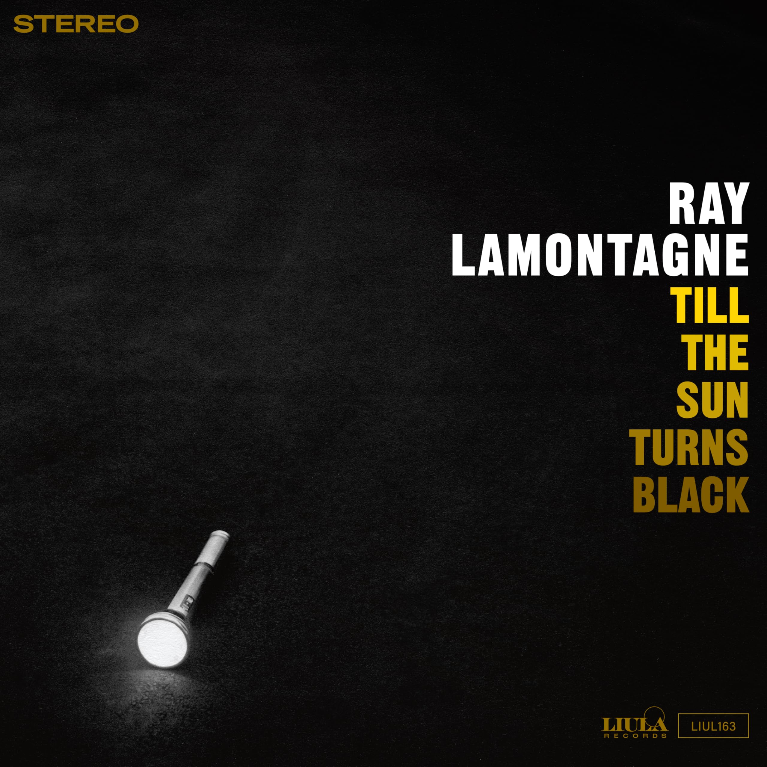 Ray LaMontagne - Till the Sun Turns Black [Vinyl] 1