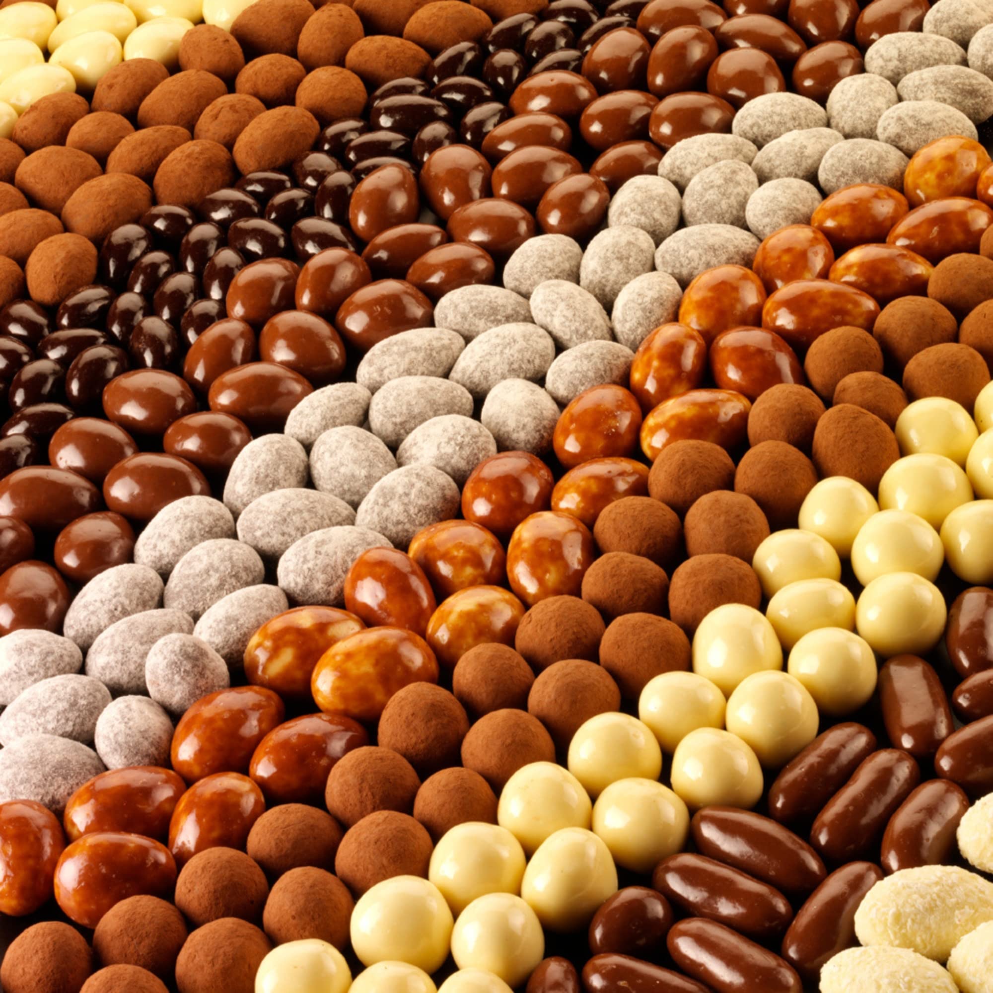 Rita Farhi Milk and Dark Chocolate Brazil Nuts Luxury Gift Box 210g 6