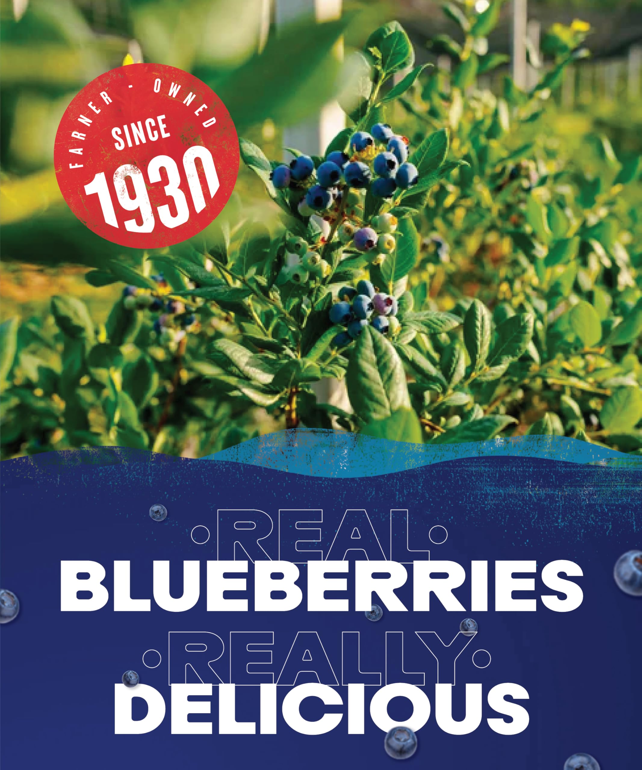Ocean Spray Blueberry Fruit Juice Drink - 1L Carton | Rich in Vitamin C | No Artificial Additives 5
