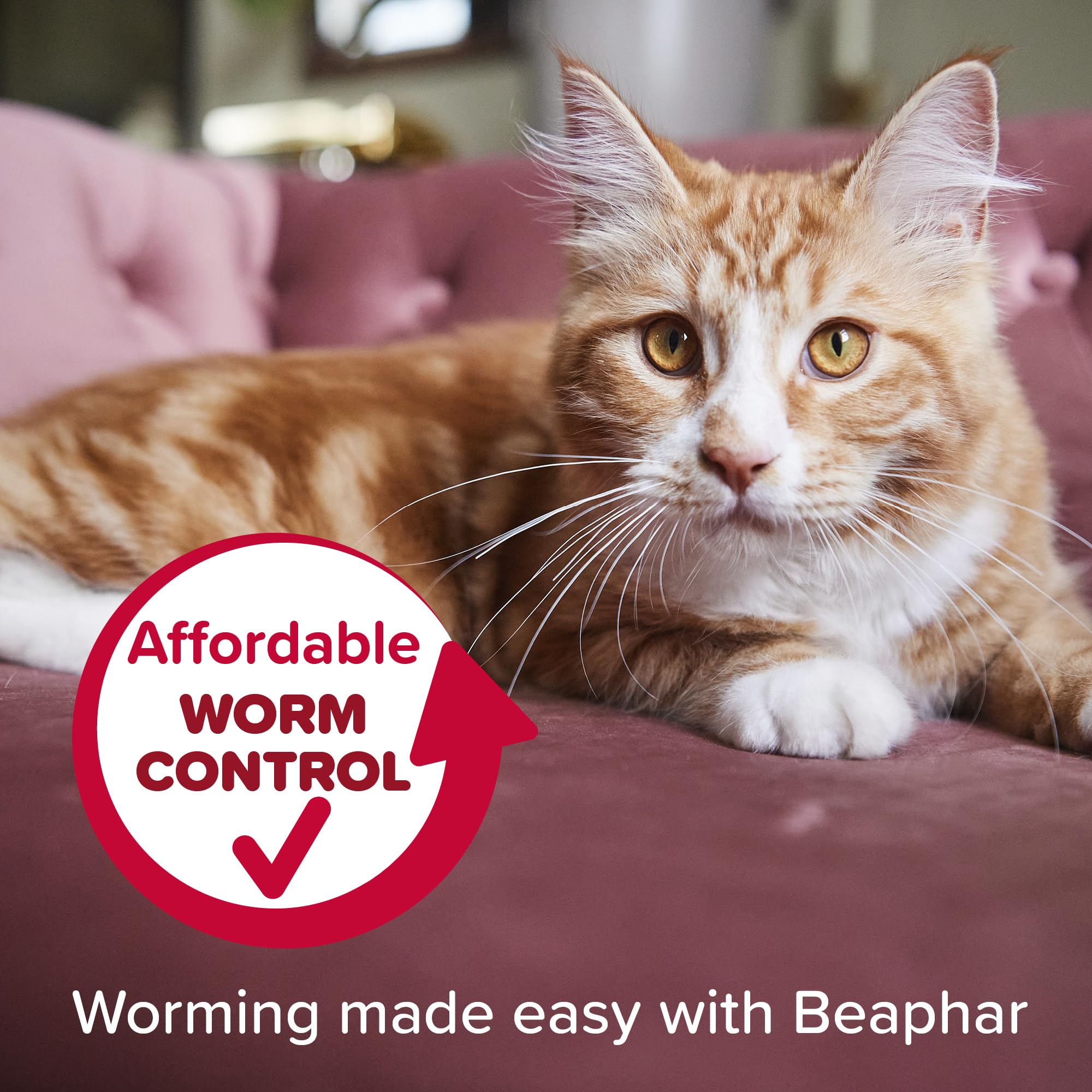 Beaphar WORMclear Tablets for Cats - Kills Roundworms & Tapeworms | 2 Tablet Pack 7
