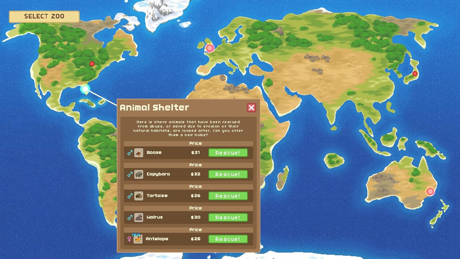 Let’s Build a Zoo - Nintendo Switch 8