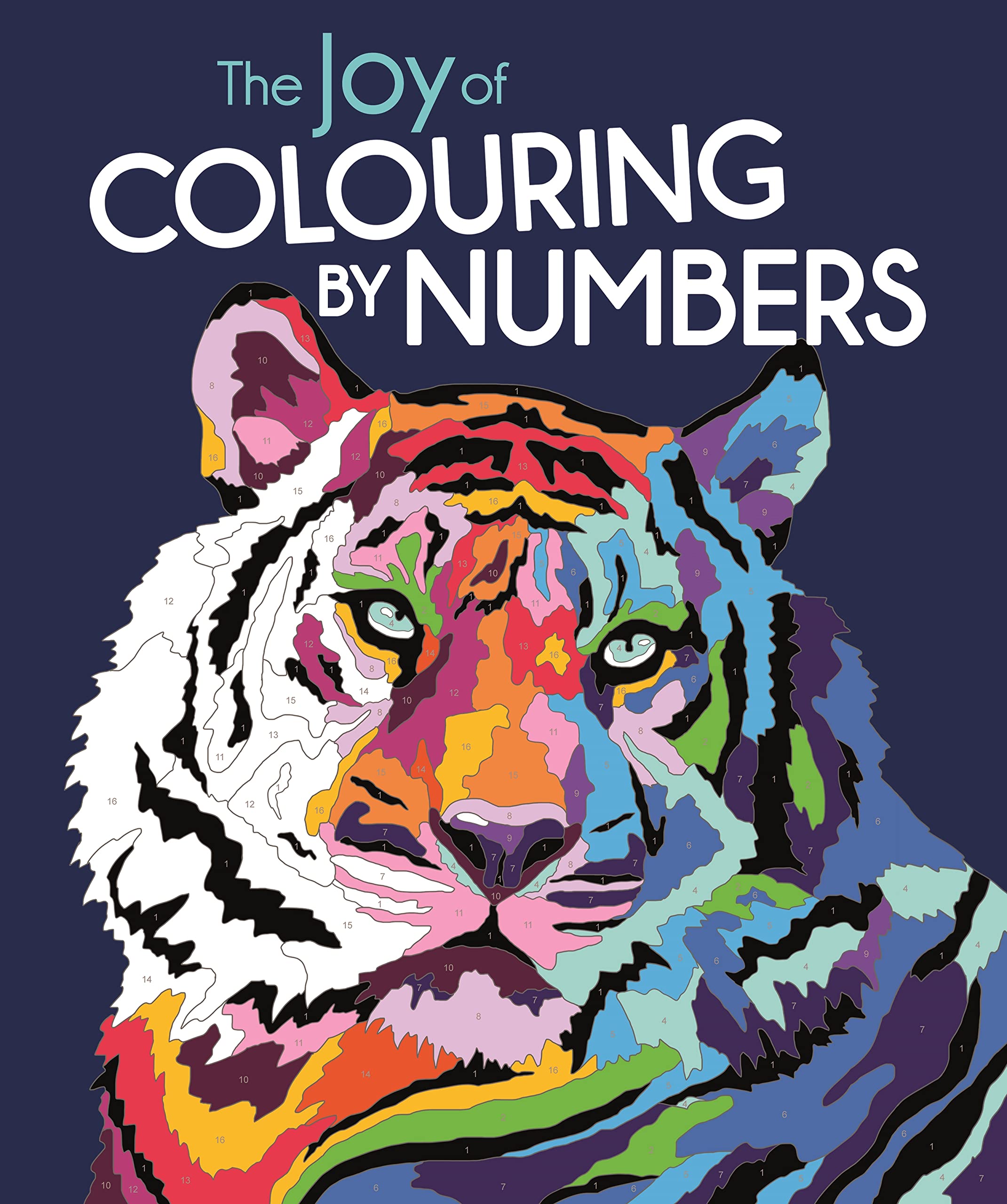 Michael O'Mara Books The Joy of Colouring by Numbers Activity Book | Paperback | English