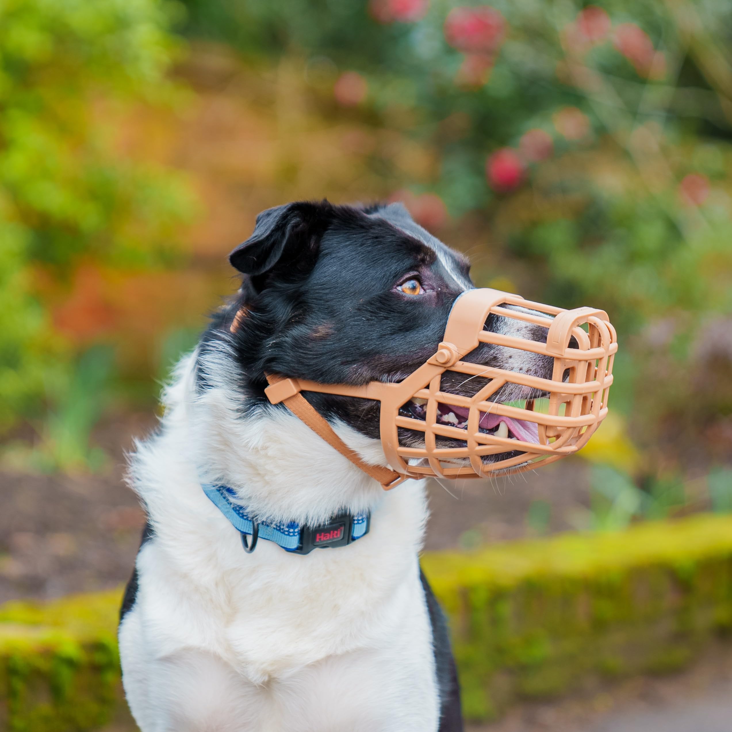 Baskerville Classic Basket Muzzle - Size 4, Prevents Biting & Scavenging | TPE Material