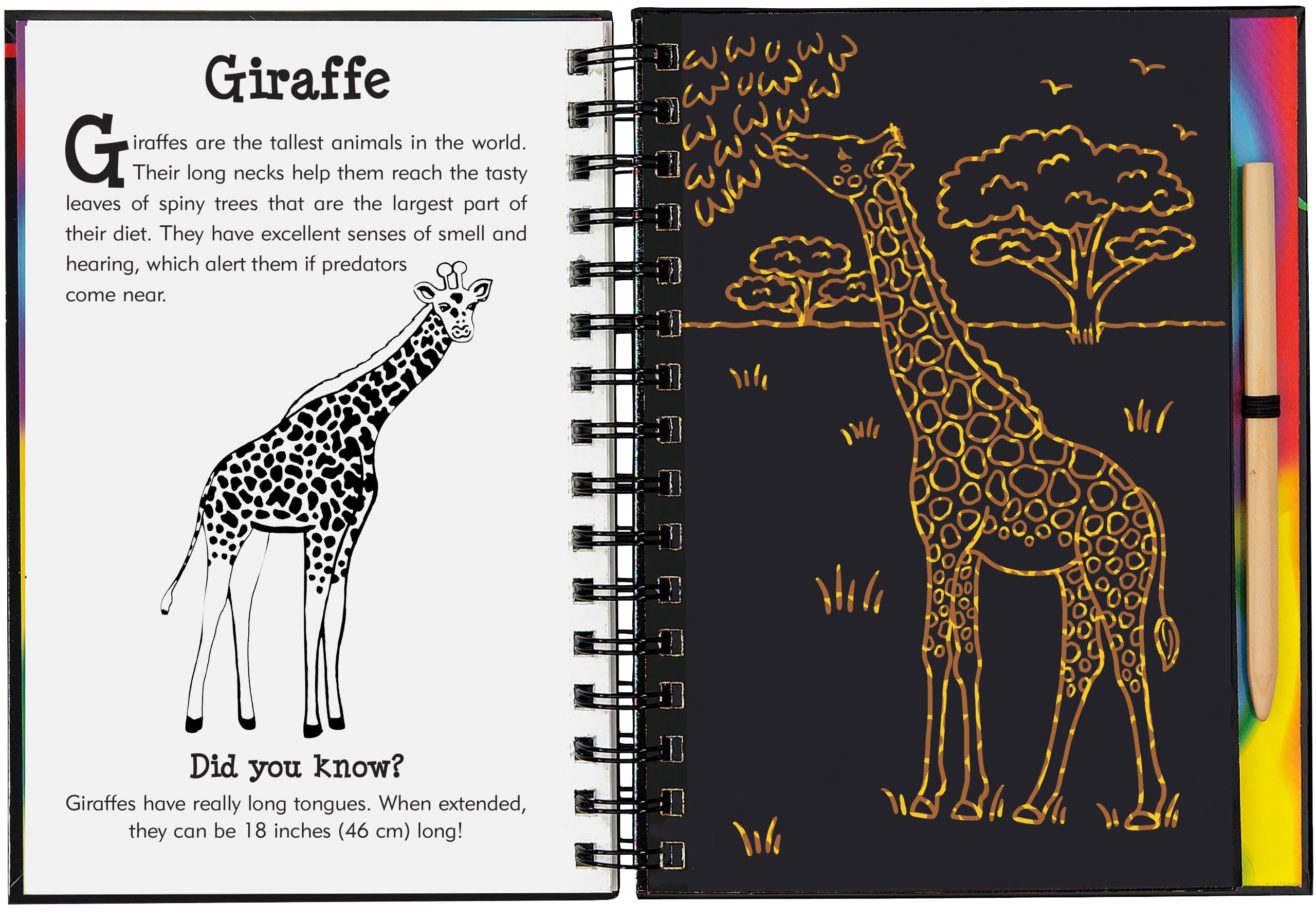Peter Pauper Press Wild Safari Scratch & Sketch Activity Book - Trace Along, Ages 5-9 4