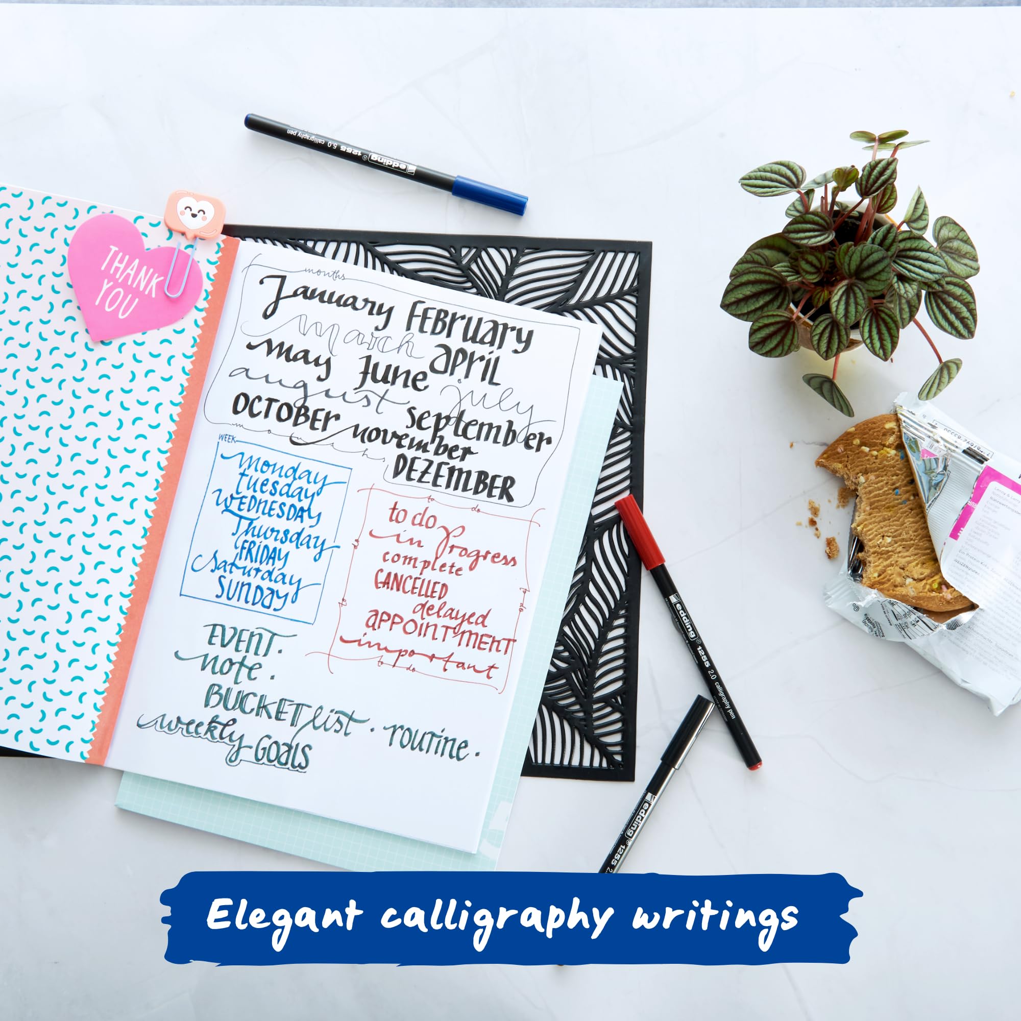 edding 1255 Calligraphy Pen - Steelblue - 3 Pens | Calligraphy Nib 2-5 mm | Waterproof Fibre Pens 6