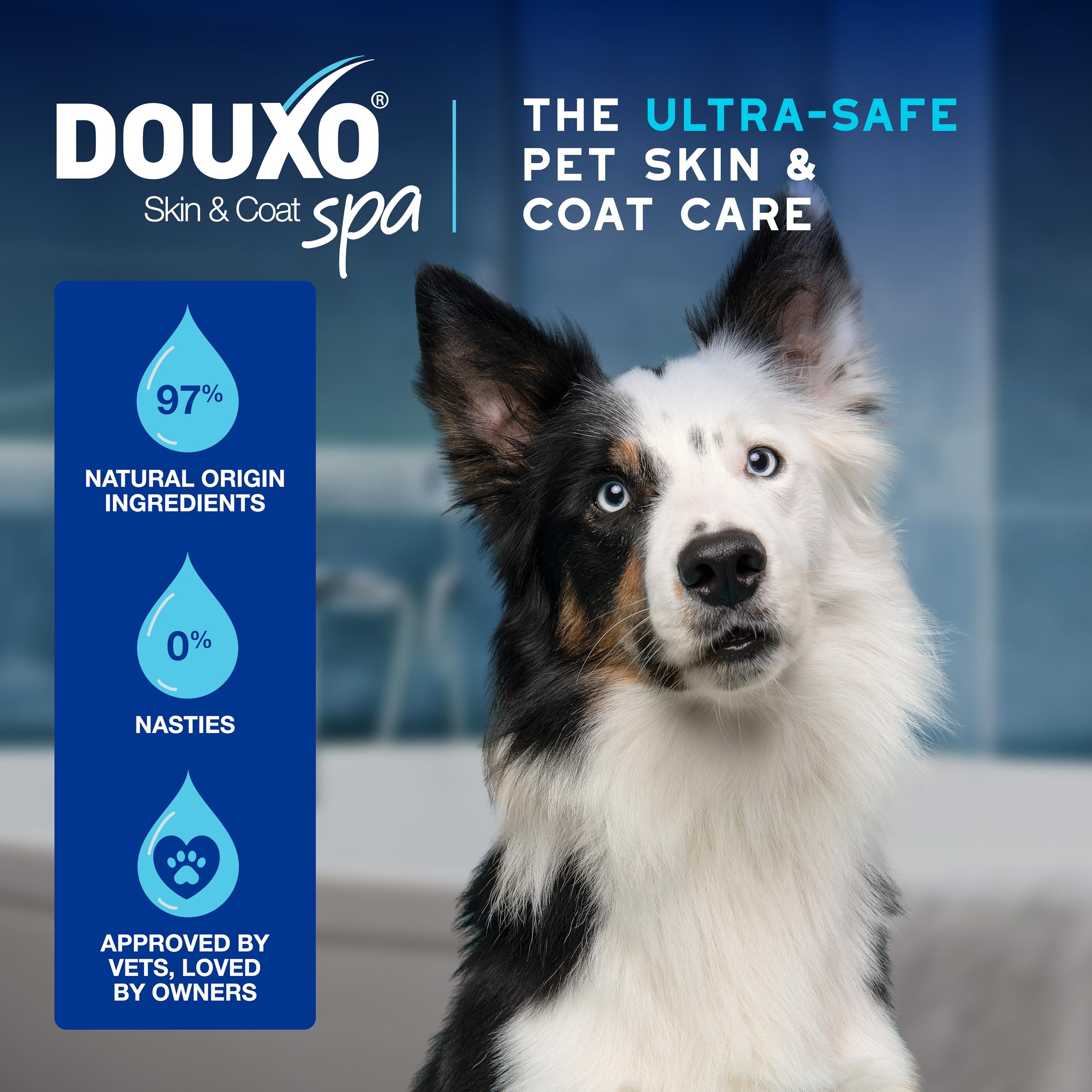 Douxo Skin & Coat SPA Ear Cleaner for Dogs and Cats - Micellar Wax Removal | 120 ml 4