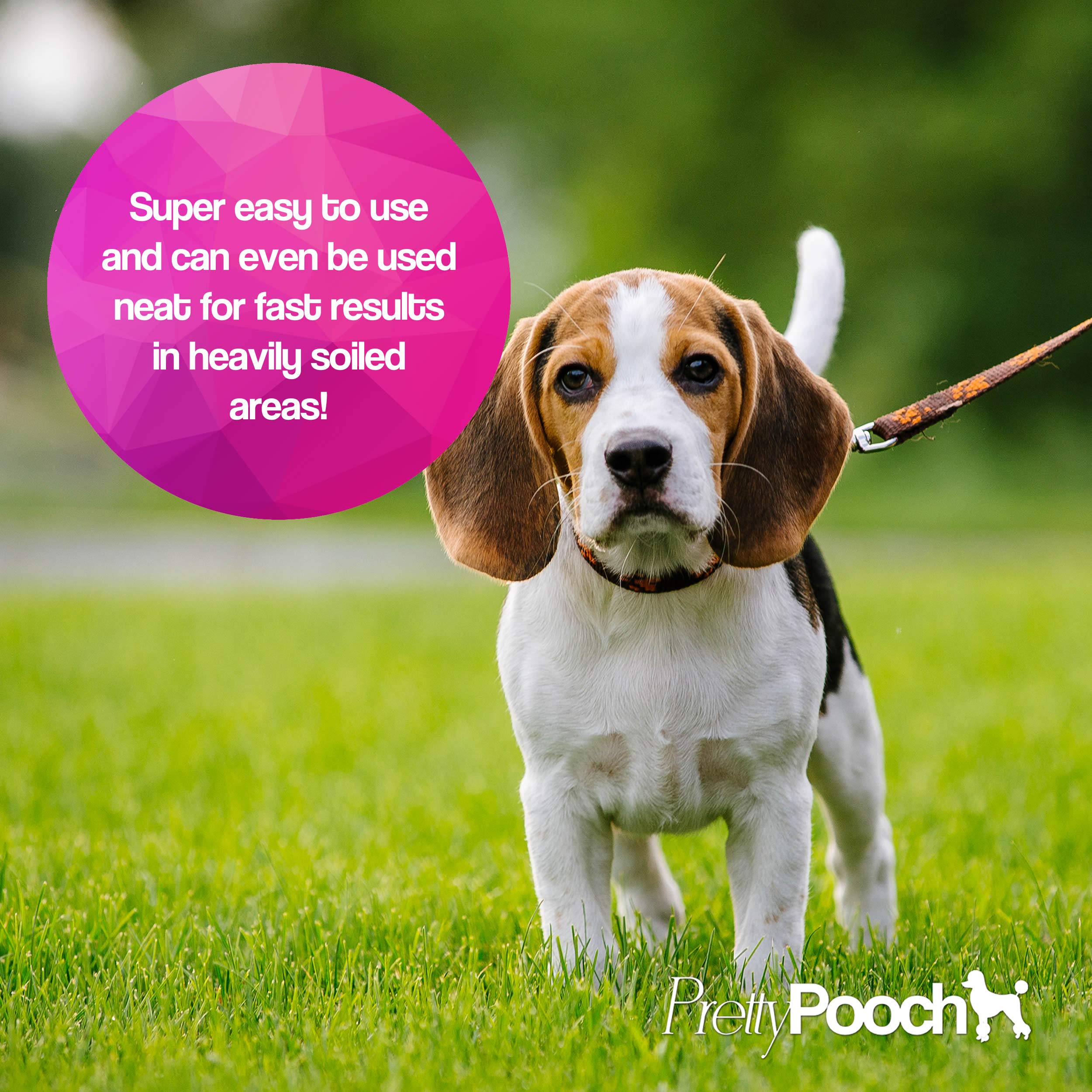 Pretty Pooch Artificial Grass Cleaner - 10:1 Super Concentrate for Dog Urine Odours | 1L Size 3
