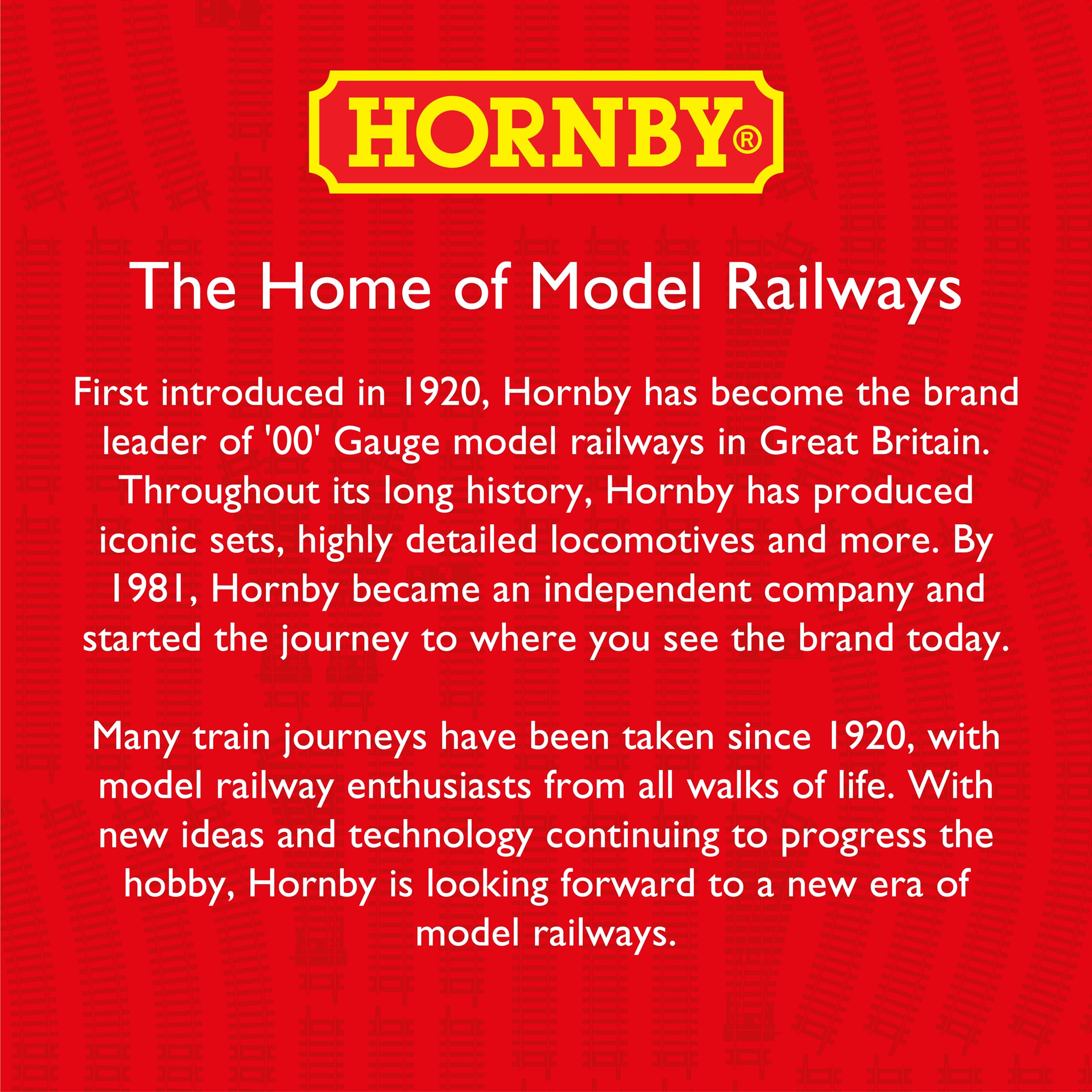 Hornby R207 Replacement Track Pins for OO Gauge Model Railway Sets | Pack of 130 | Plastic 2