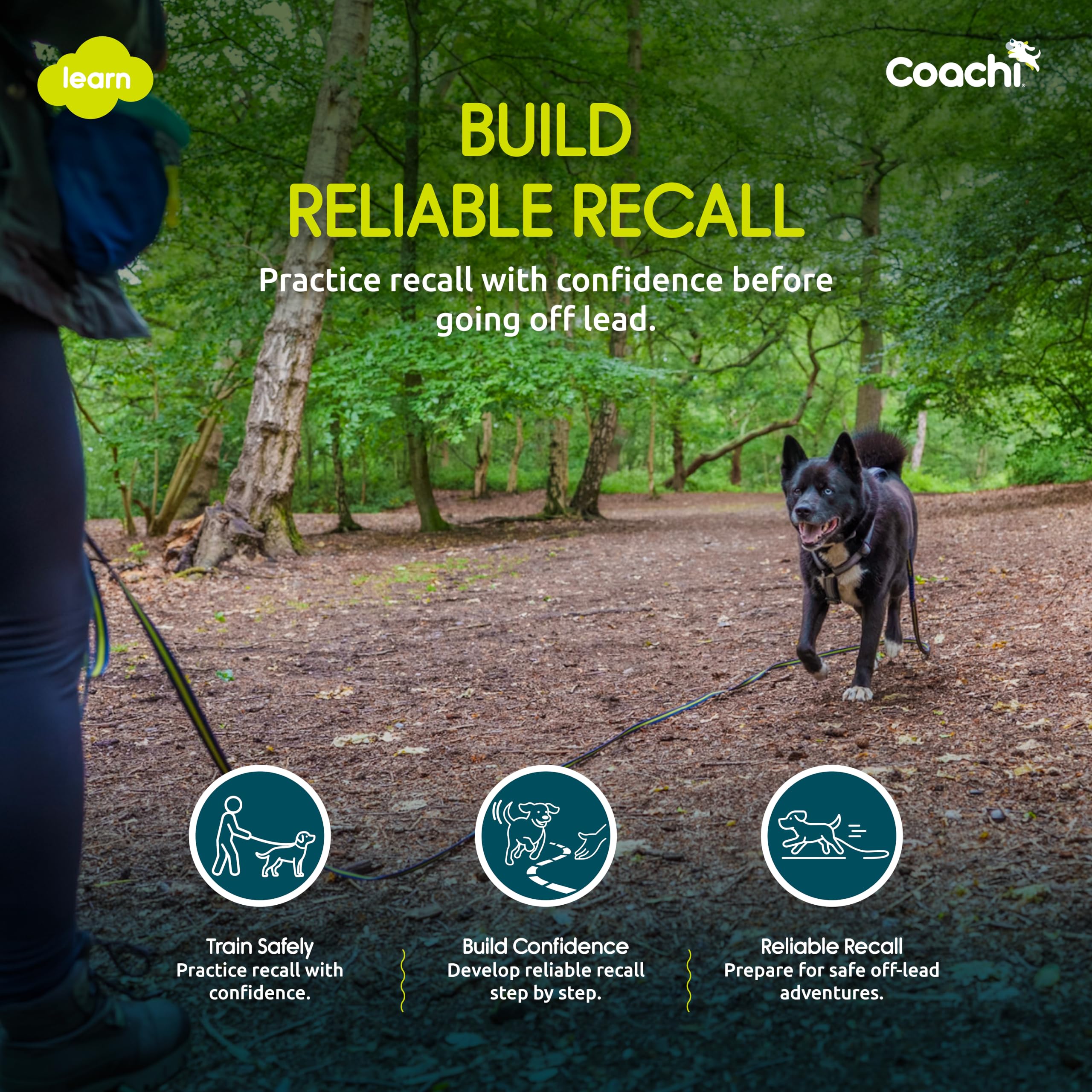 Coachi 5m Training Lead - Recall Training | Lightweight Nylon 3