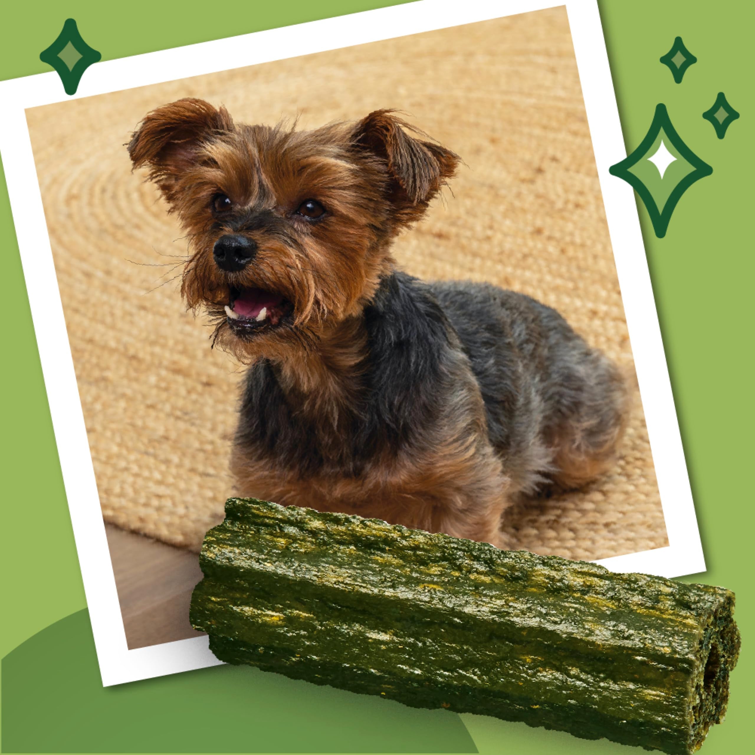 Lily's Kitchen Woofbrush Small Dental Dog Chews - Grain-Free, Vet Approved | 7 Chews per Pack 5