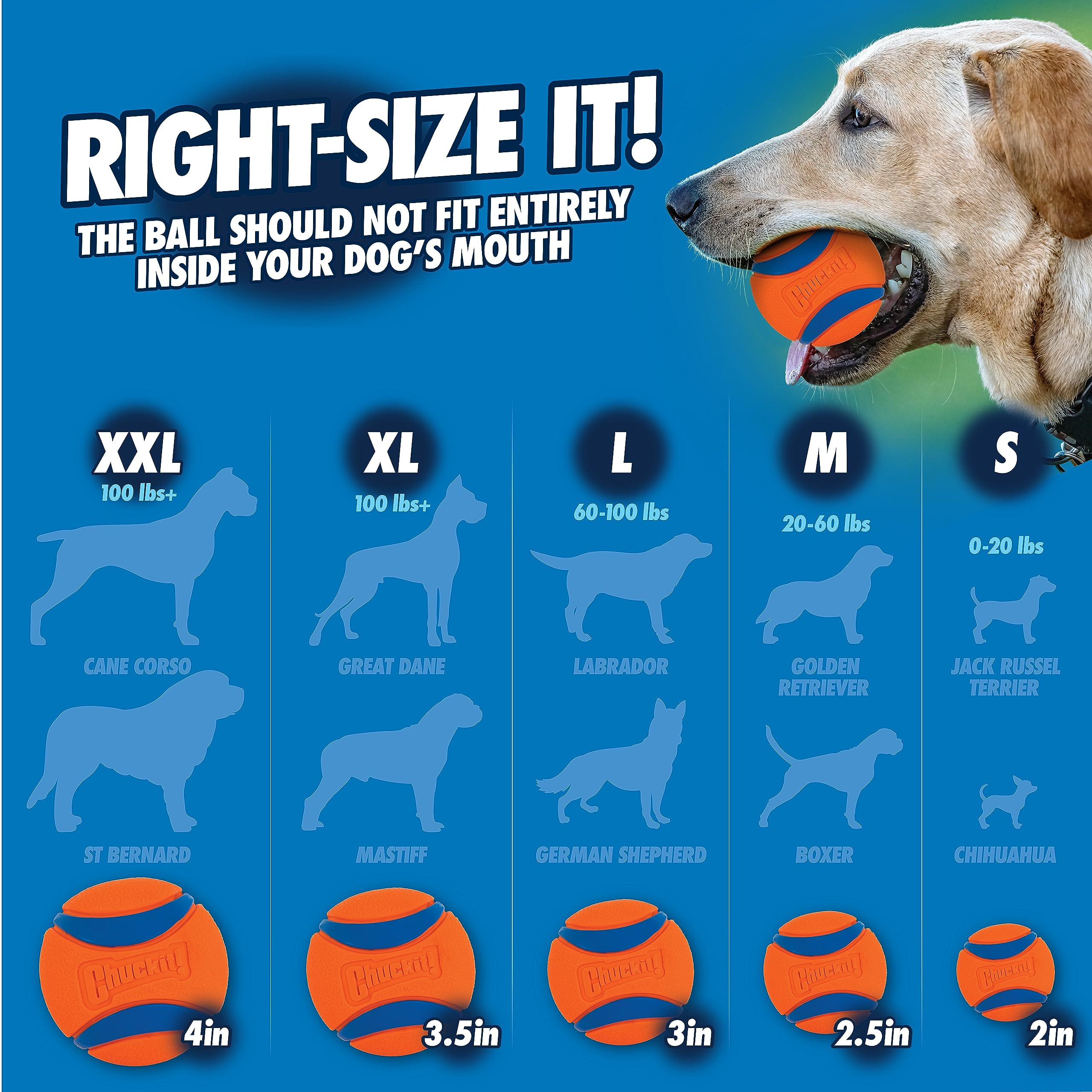 Chuckit! Sport Ball Launcher - 18 Inch / 46cm Length | Medium Ball Compatible | Made In America 8