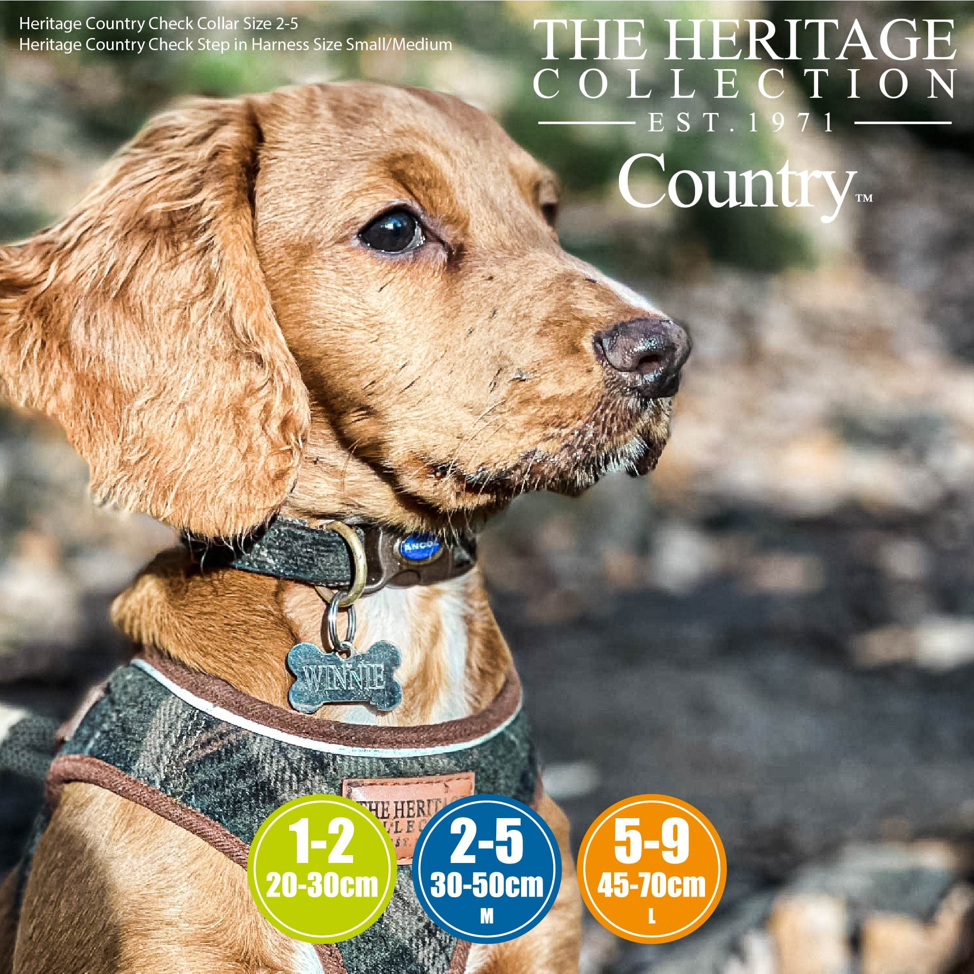 Ancol Country Check Adjustable Dog Collar - Brown Nylon | Fits Neck 30-50cm 5