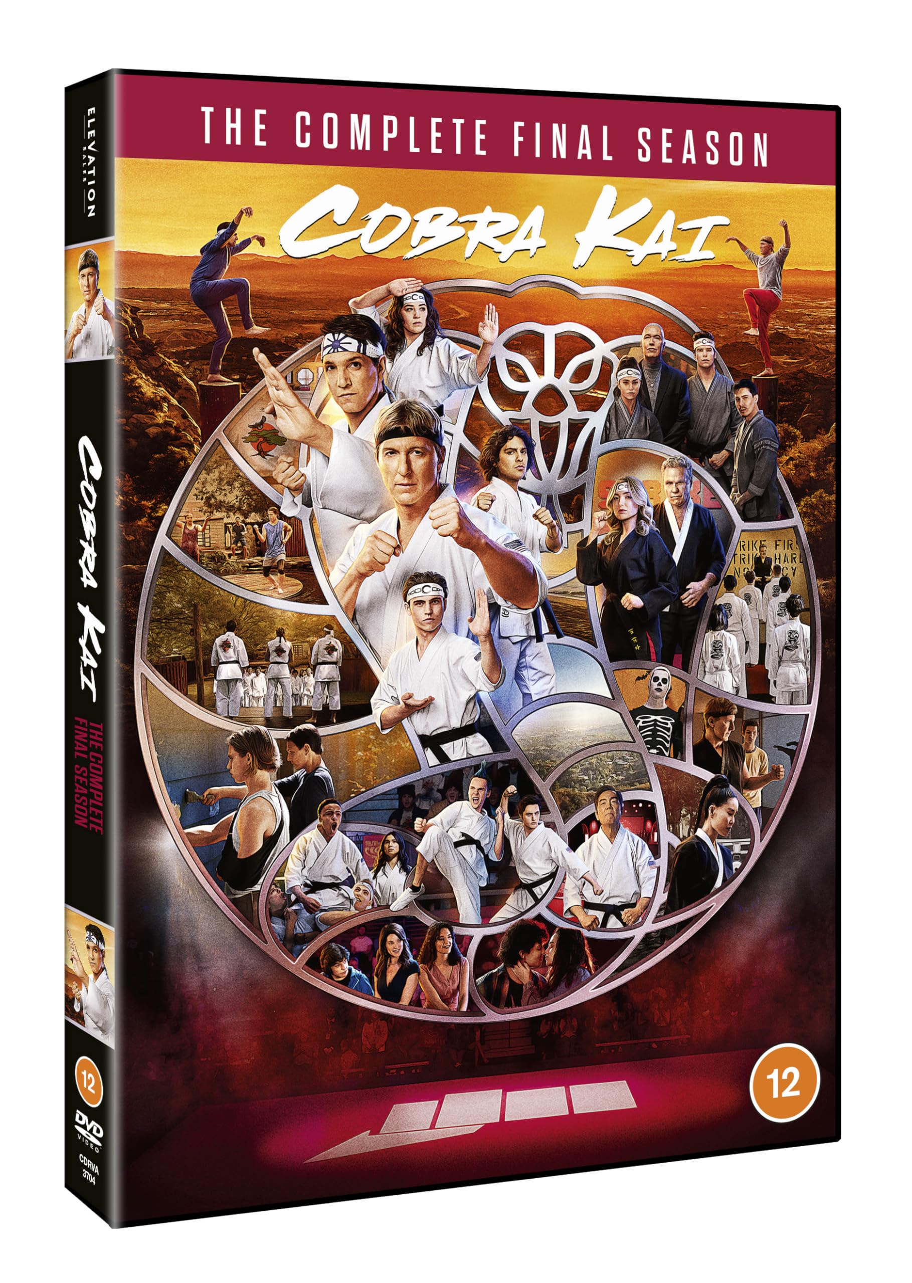 Cobra Kai: Season 6 [DVD] 2