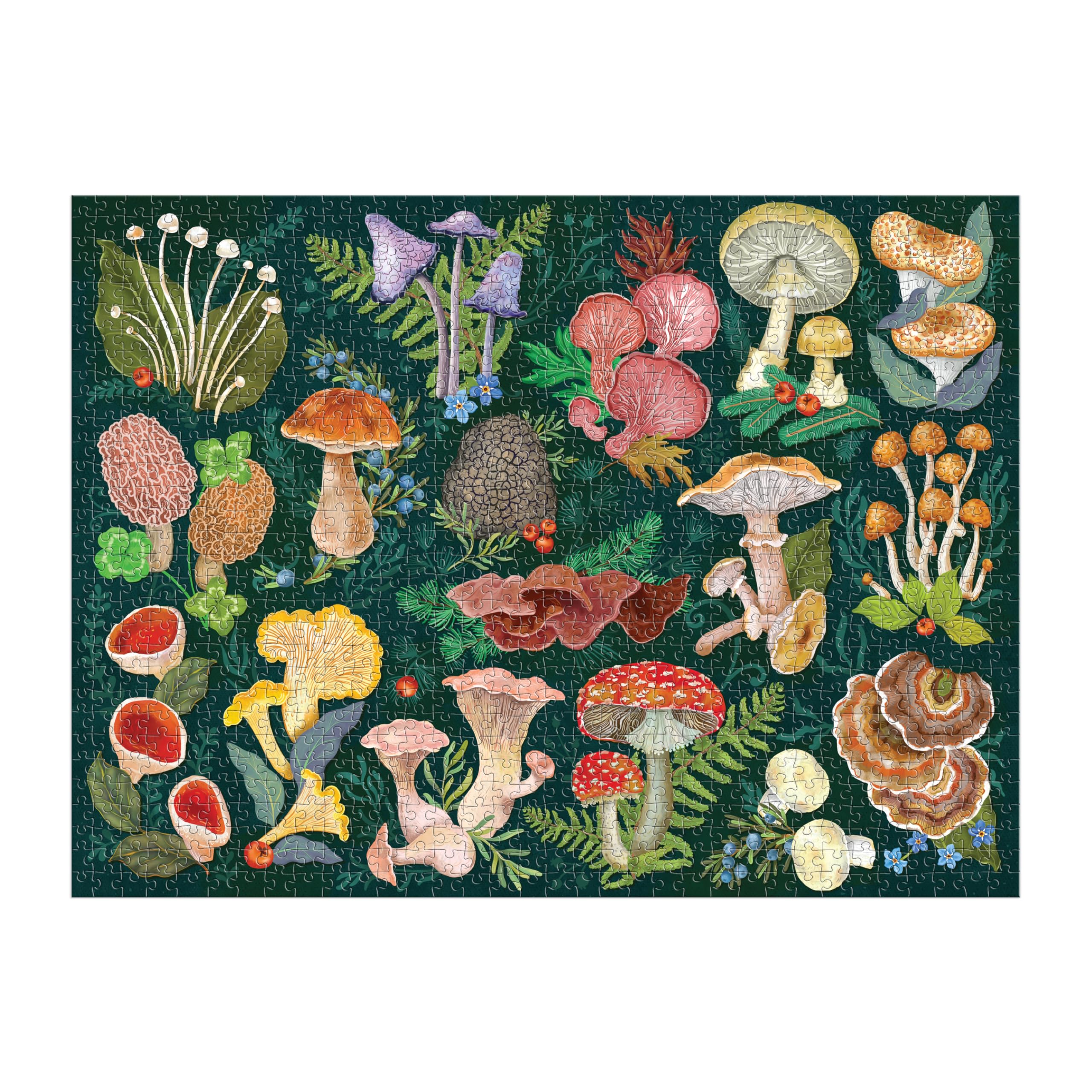 Galison World of Mushrooms 1000 Piece Jigsaw Puzzle | Features Glossary of Species