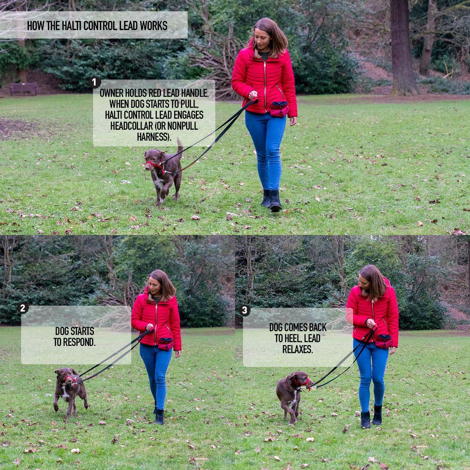 Halti Control Lead - Multi-Functional Double Ended Lead for Dogs | Black | Large 6