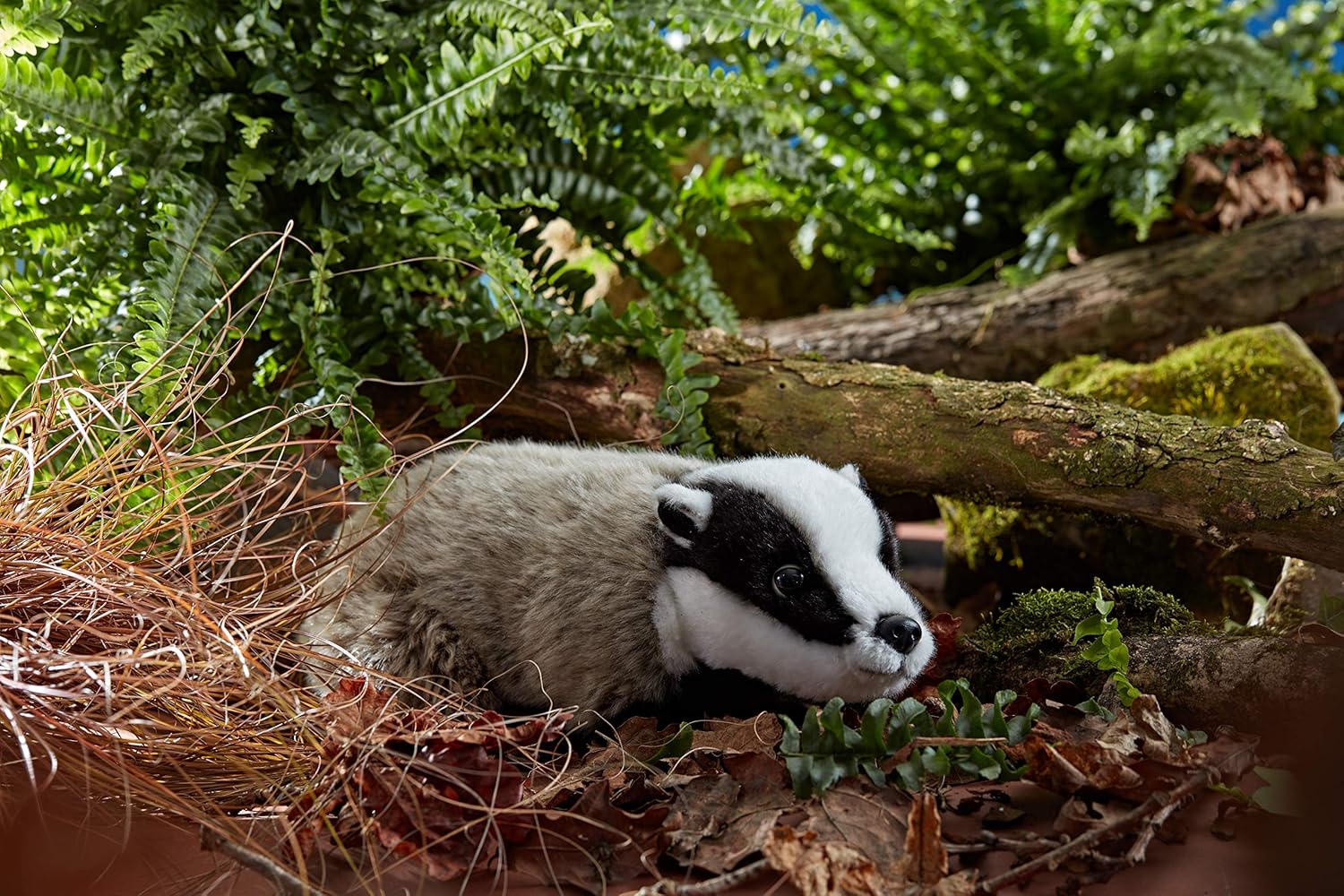 Living Nature Soft Toy - Medium Badger (20cm) - Realistic Plush with Educational Fact Tag 7