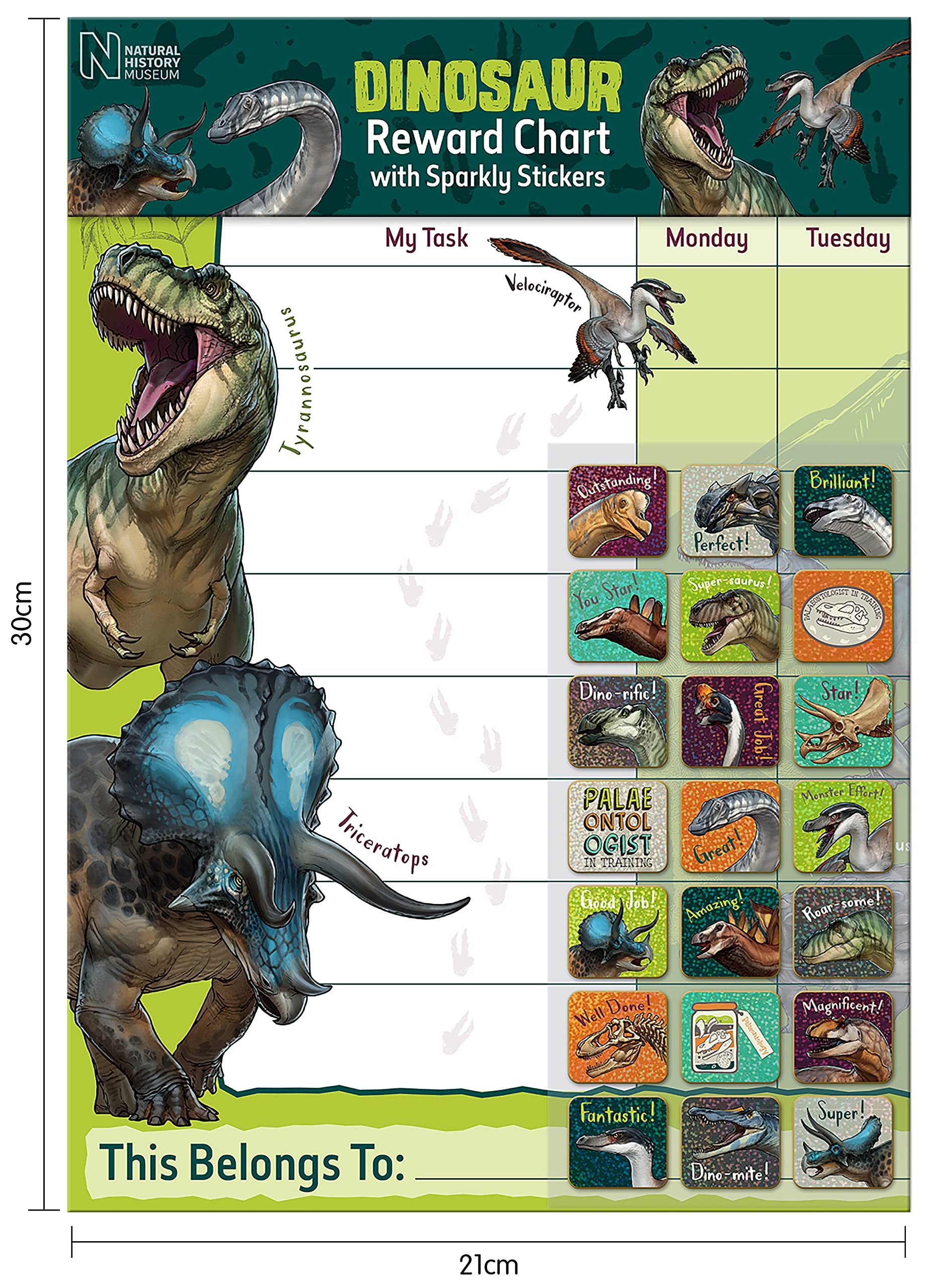 Paper Projects Natural History Museum Dinosaurs Reward Chart | A3 Size | Includes 56 Stickers 4