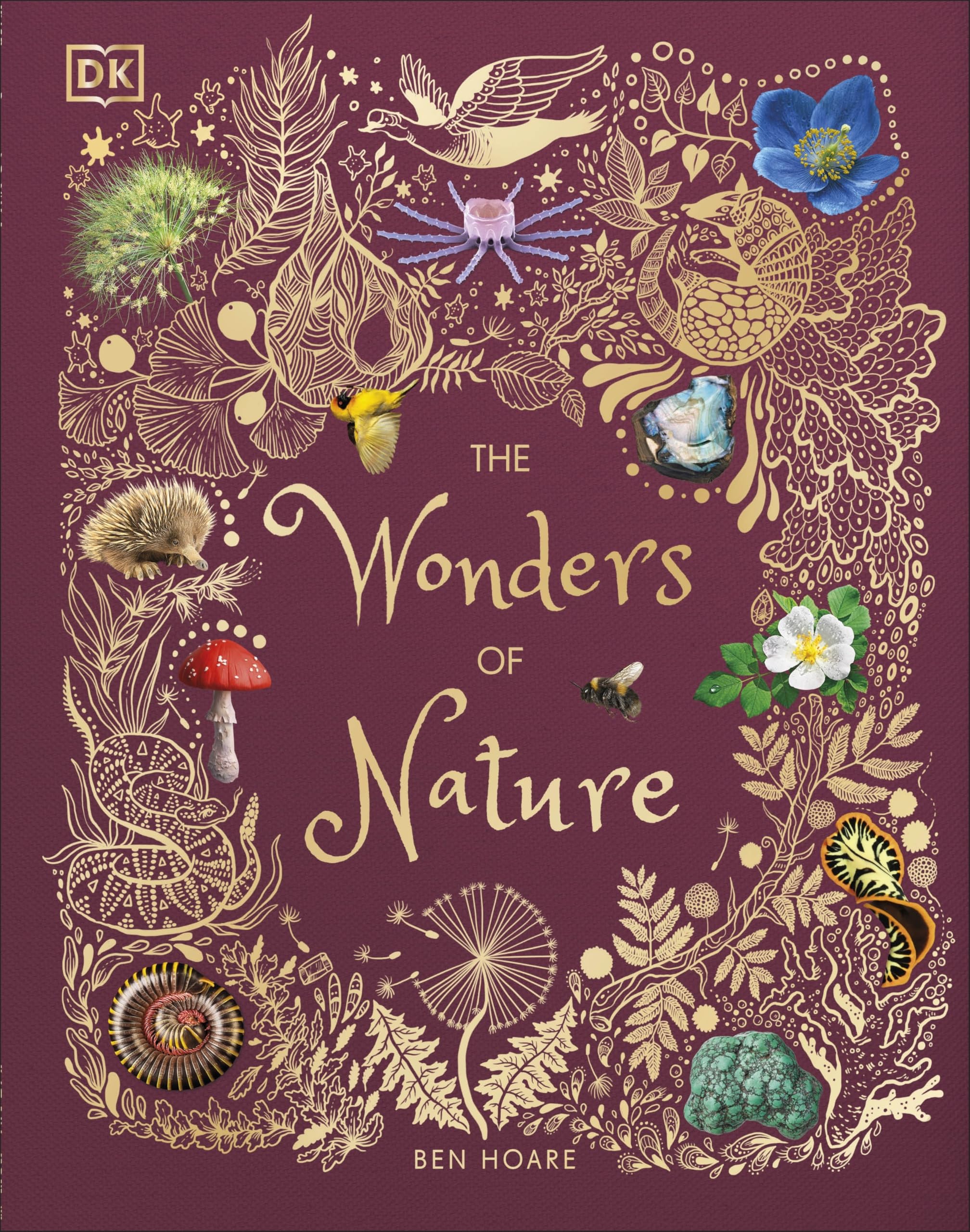 Penguin The Wonders of Nature Reference Book | Hardcover | English | 224 Pages