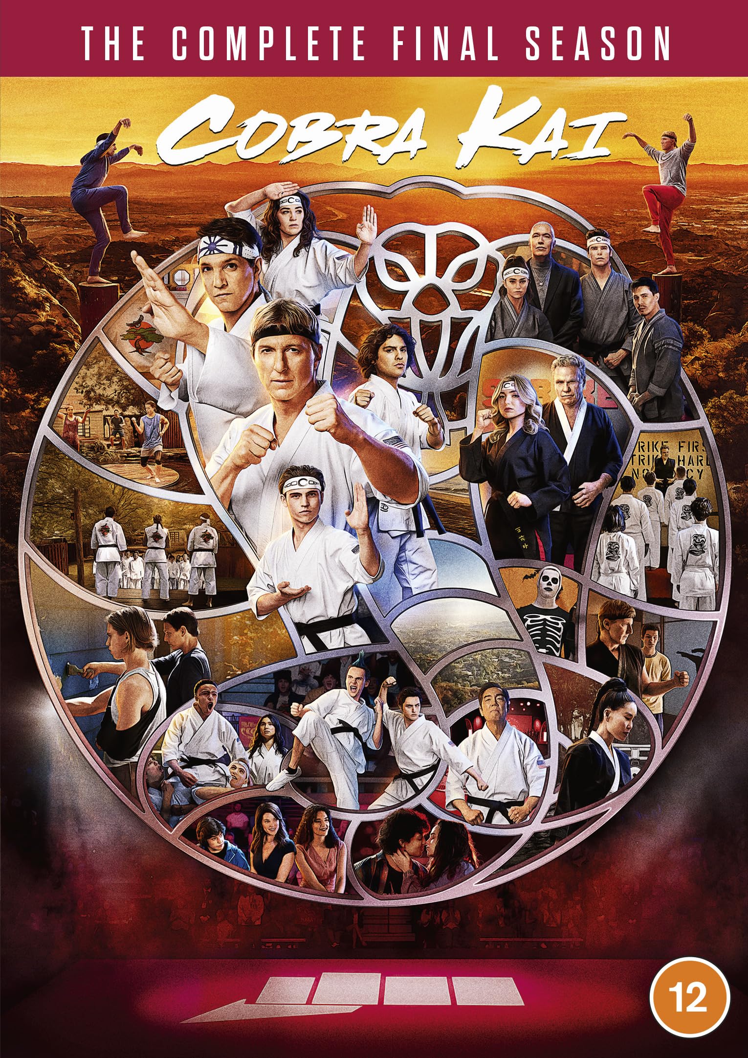 Cobra Kai: Season 6 [DVD] 1