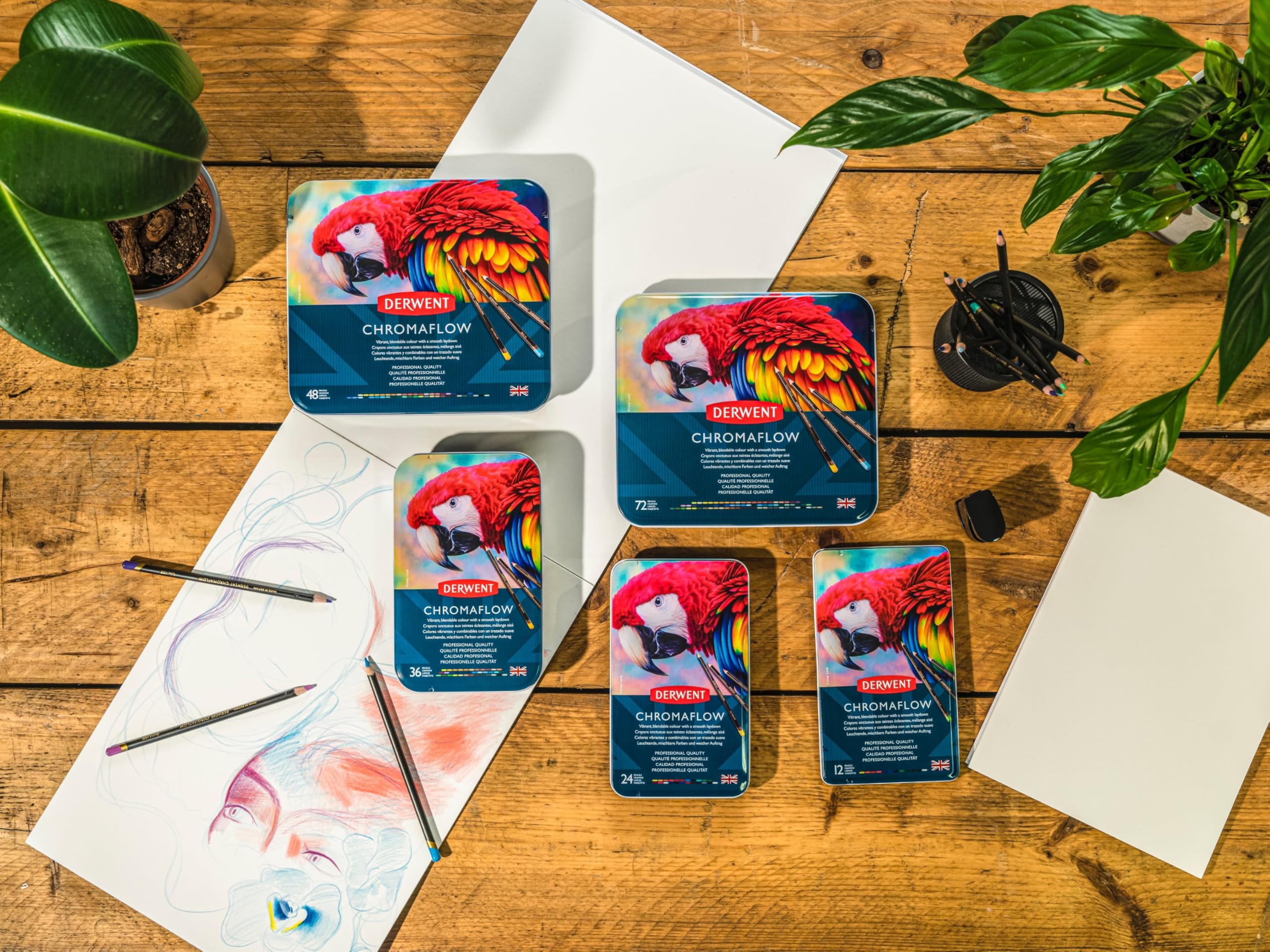 Derwent Chromaflow Coloured Pencils - Set of 24 in Tin | 3.5mm Core | Blendable 8