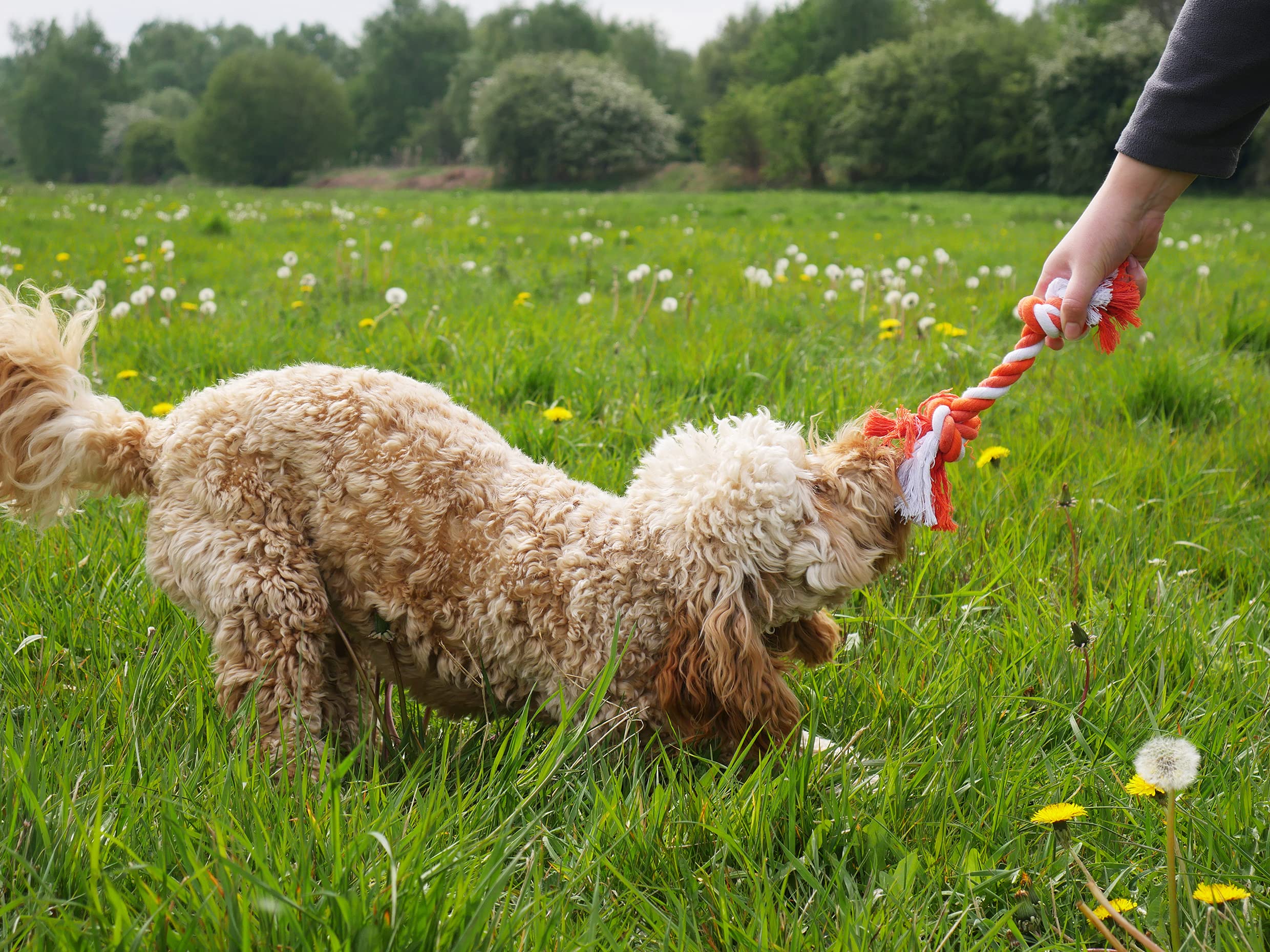 Rosewood Twistables Cotton Rope Tug Toy - Durable Chew & Fetch for Small Dogs and Puppies