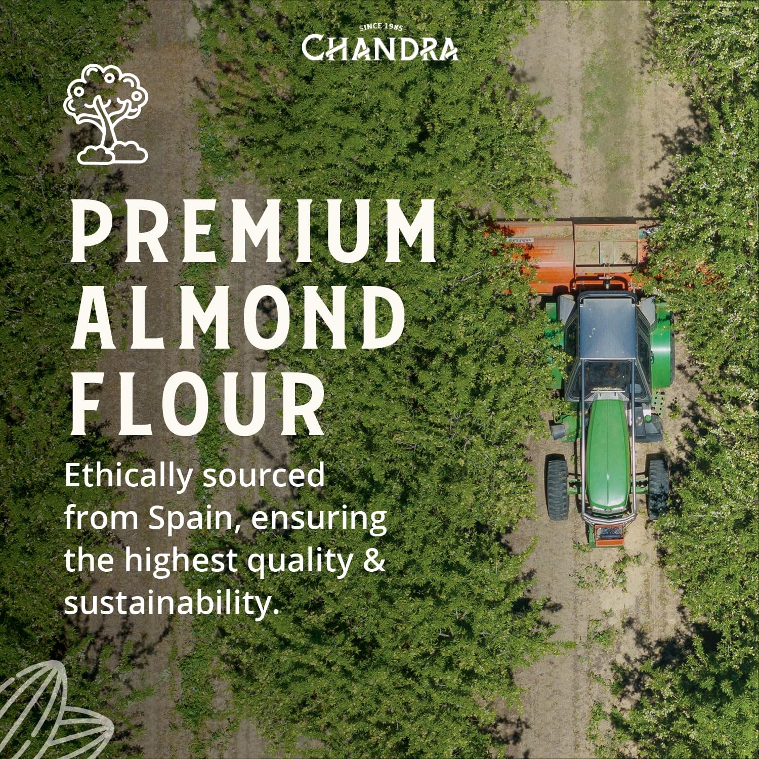 CHANDRA Ground Almond Flour - 1kg Bag | Gluten-Free, Keto & Paleo Friendly 7