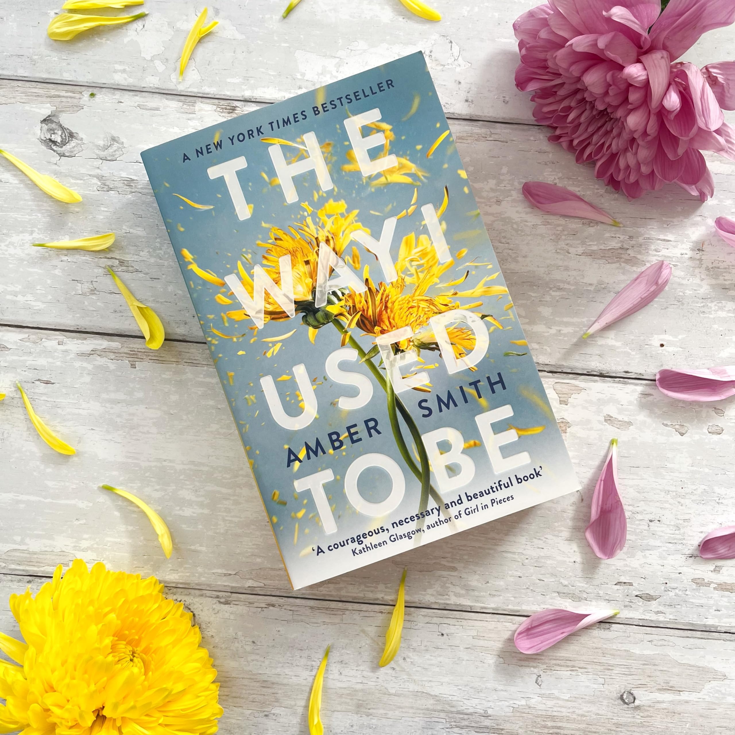 Amber Smith - The Way I Used to Be | Young Adult Literature & Fiction