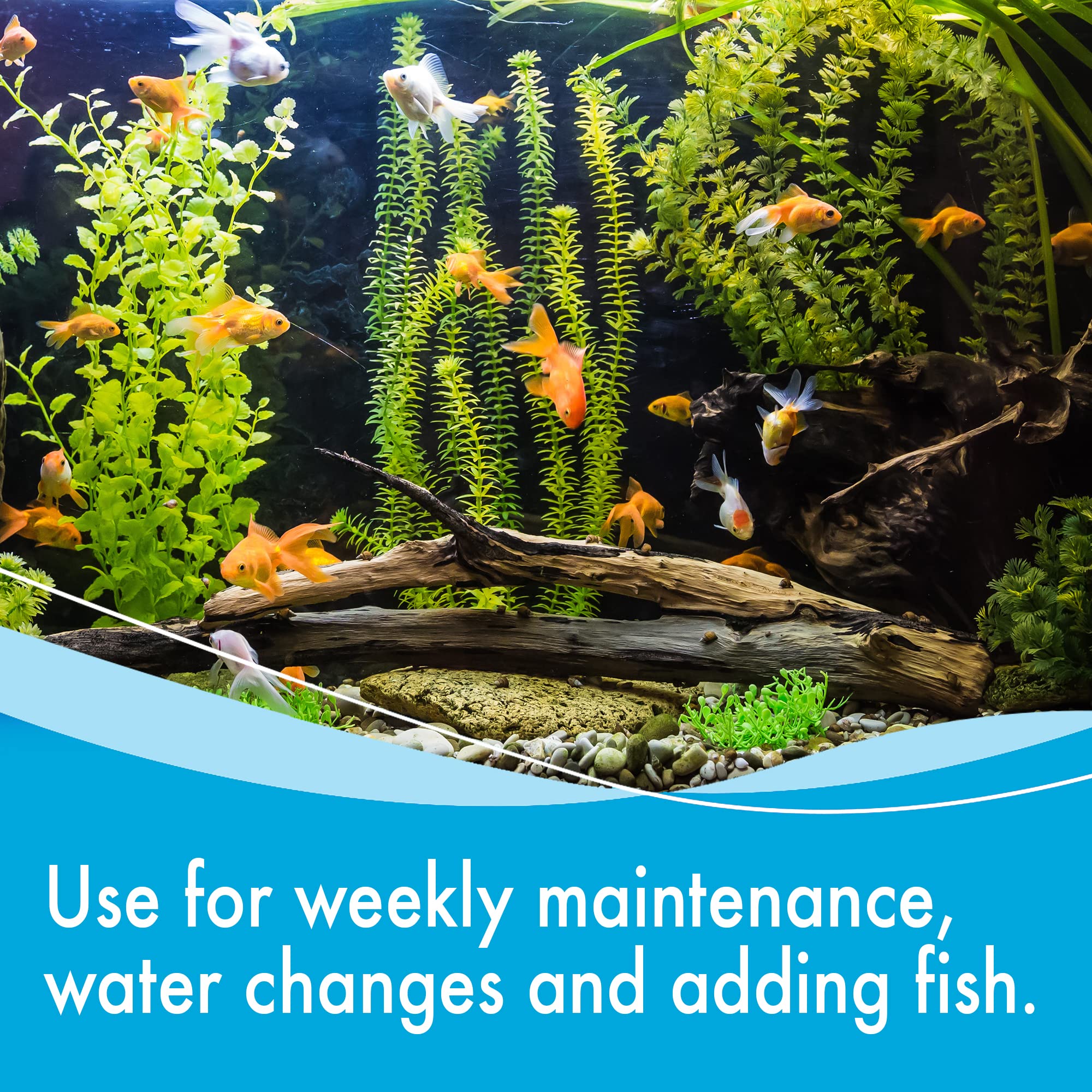 AQUARIAN Weekly Water Cleaner for Aquariums - Liquid Treatment, 473 ml (Pack of 1) 2