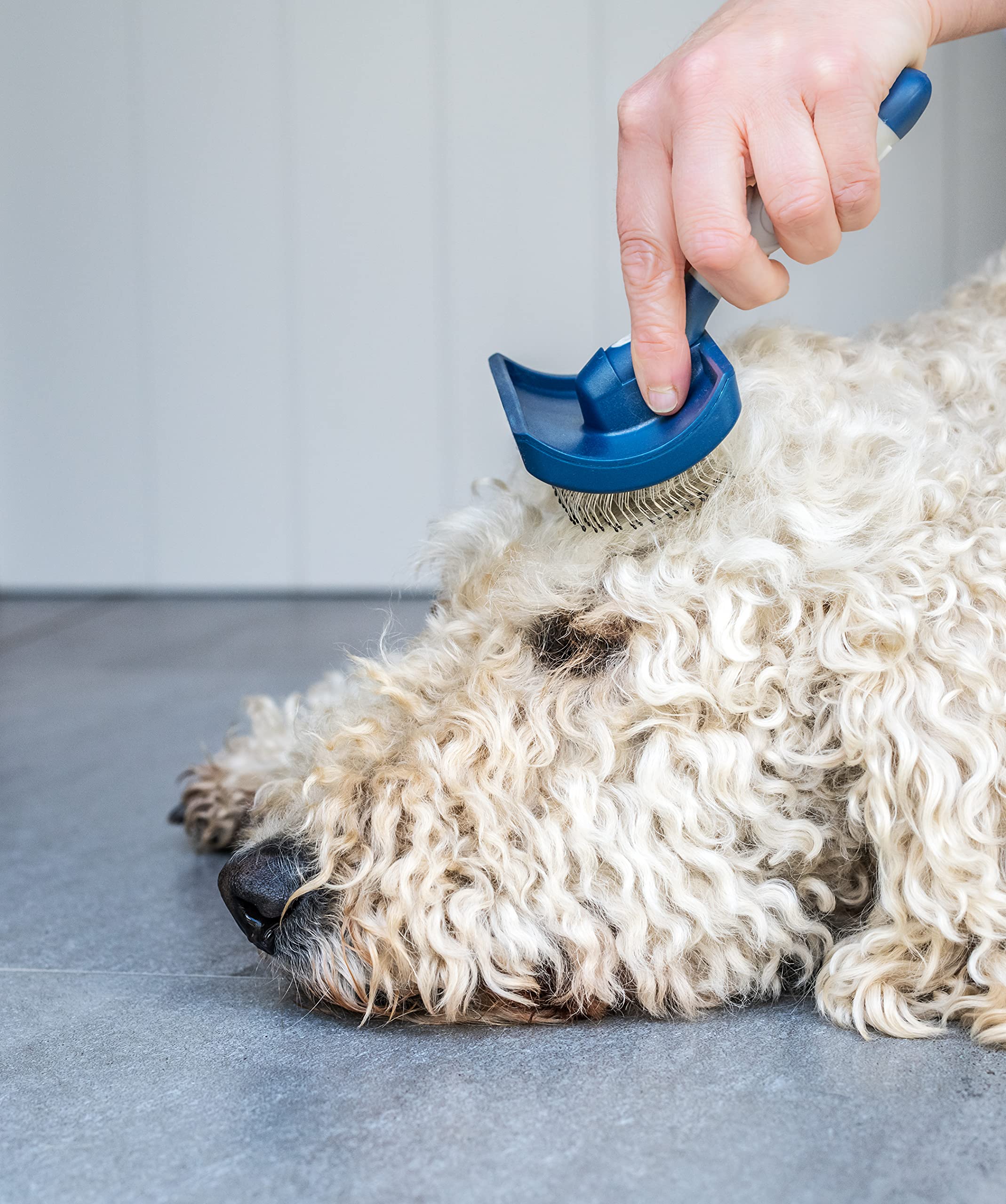 Mikki Dog Brush Set: Stainless Steel Comb & Hard Pin Slicker for Doodles | Small Size 4