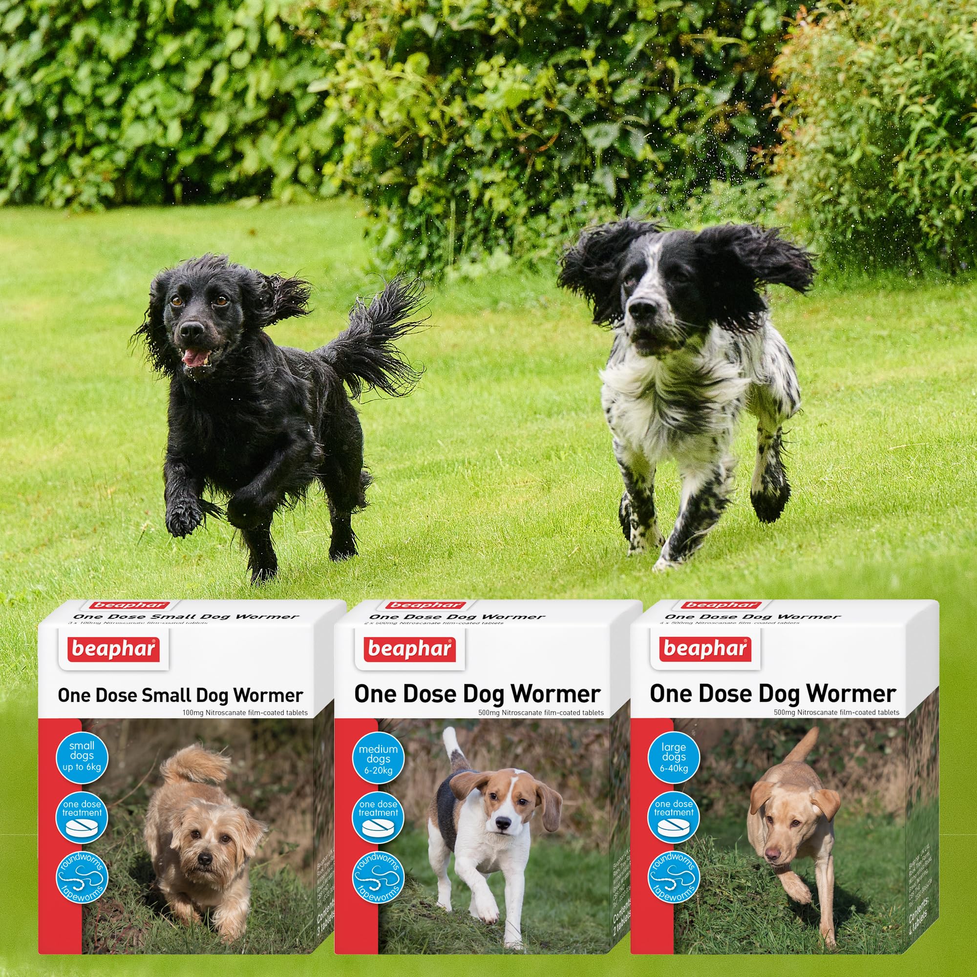 Beaphar One Dose Worming Tablets - For Small Dogs Up To 6kg | 3 Tablets 8