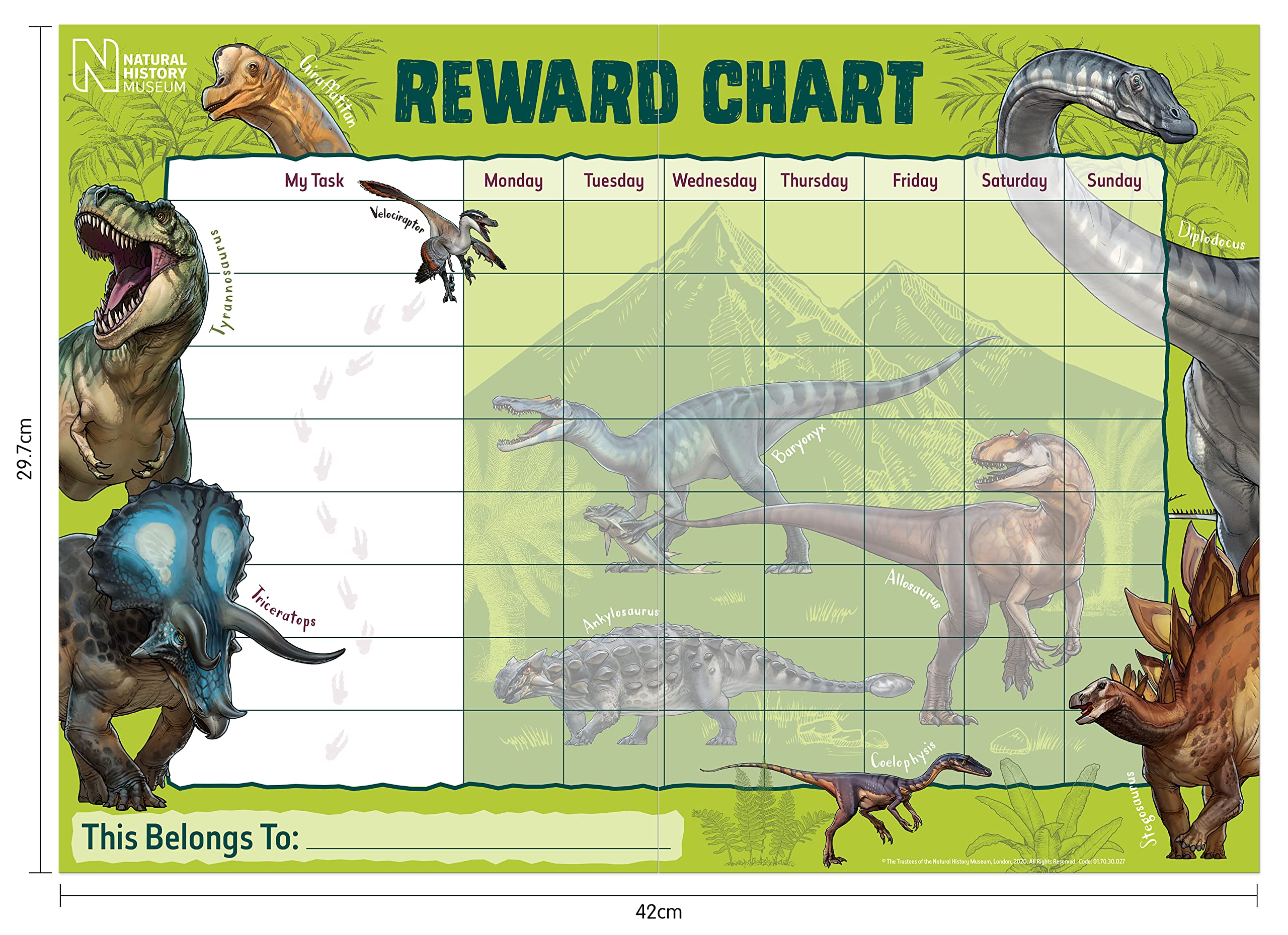 Paper Projects Natural History Museum Dinosaurs Reward Chart | A3 Size | Includes 56 Stickers 5