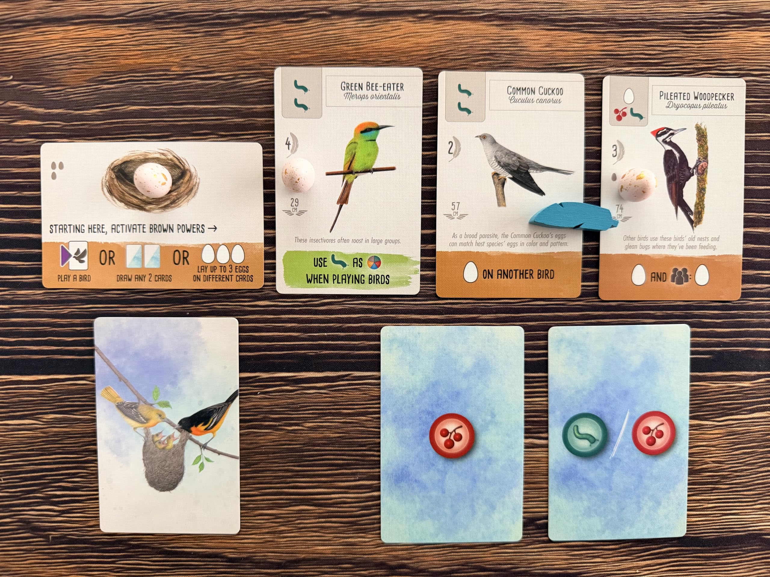 Stonemaier Games Wingspan Pocket - Travel-Friendly Strategic Card Game | Ages 8+ | 30 Min Playtime | 1-5 Players 6