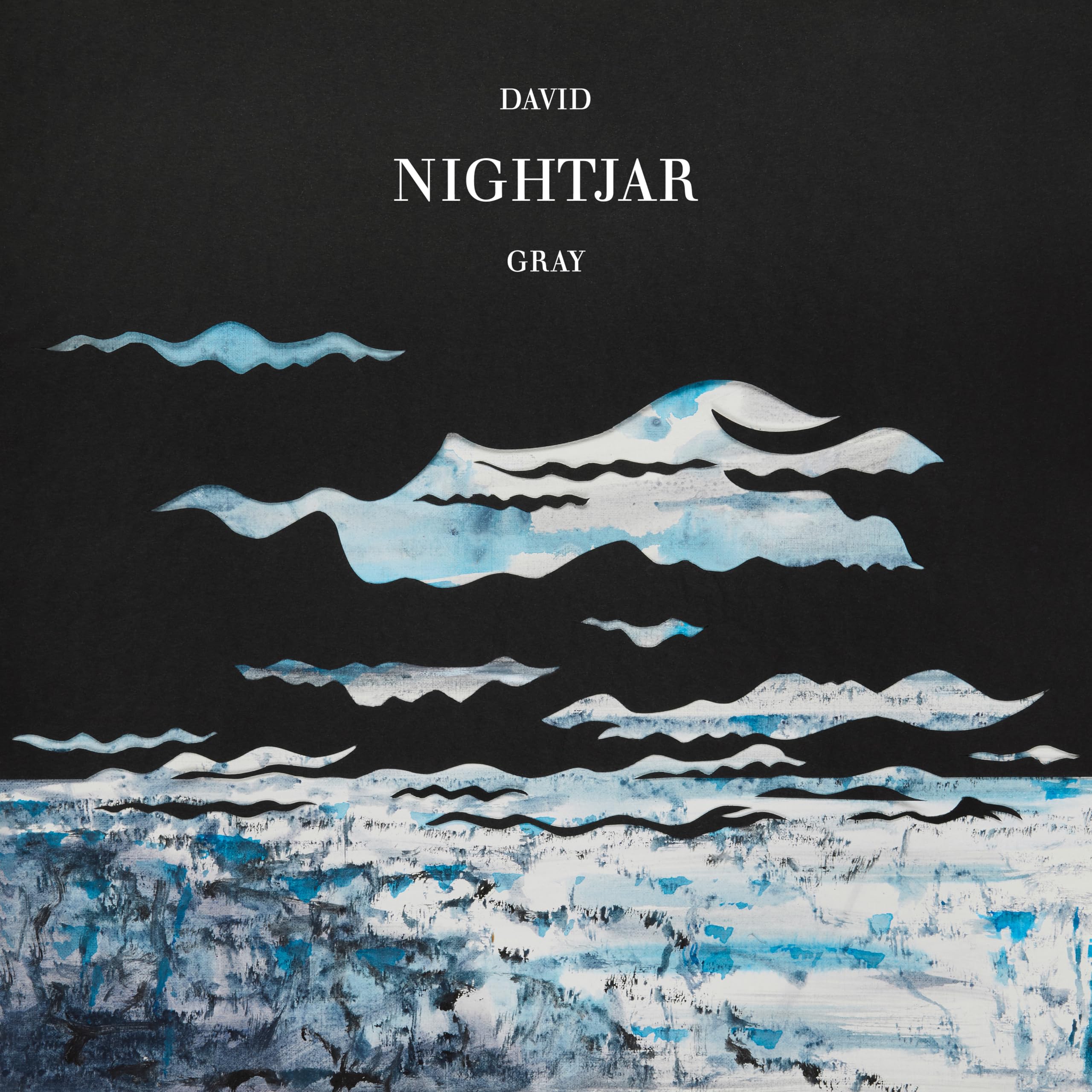 David Gray - Nightjar [2LP Vinyl] 1