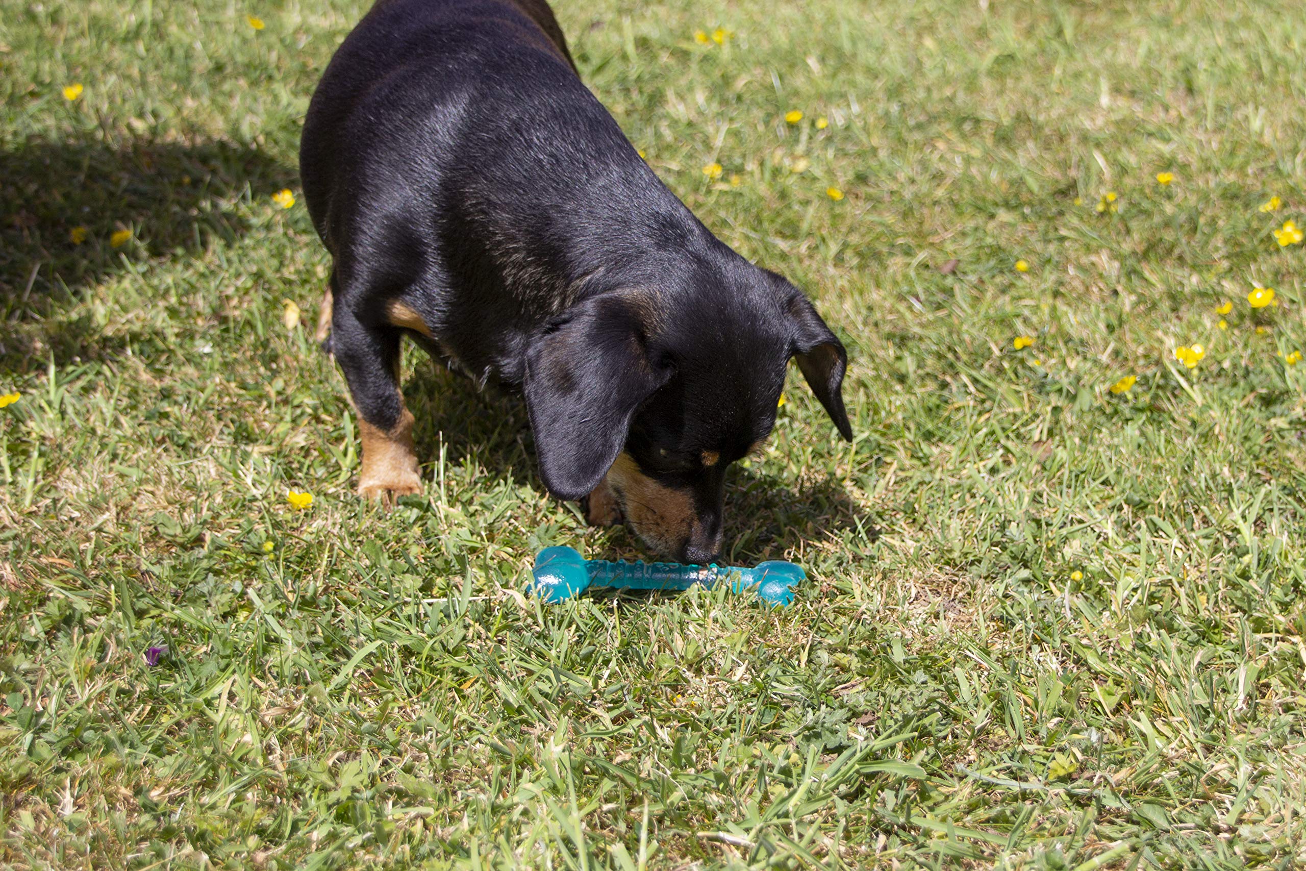 Rosewood Biosafe Puppy Bone Chew Toy - Antimicrobial, Mint Scented, Floats, Teething Relief 4