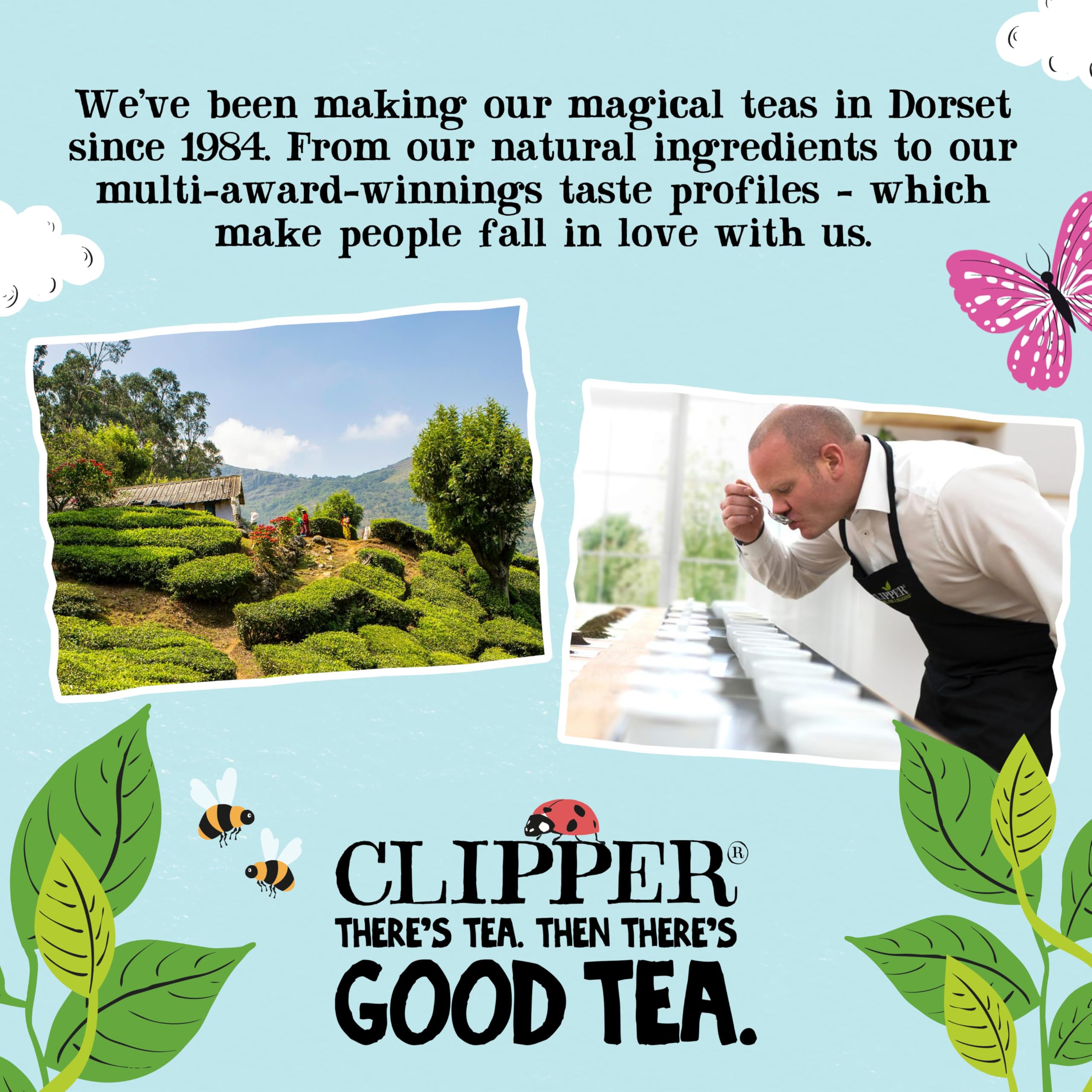 Clipper Natural, Fair & Delicious Classic Everyday Black Tea Teabags - 250 Count, Fairtrade, Compostable 8