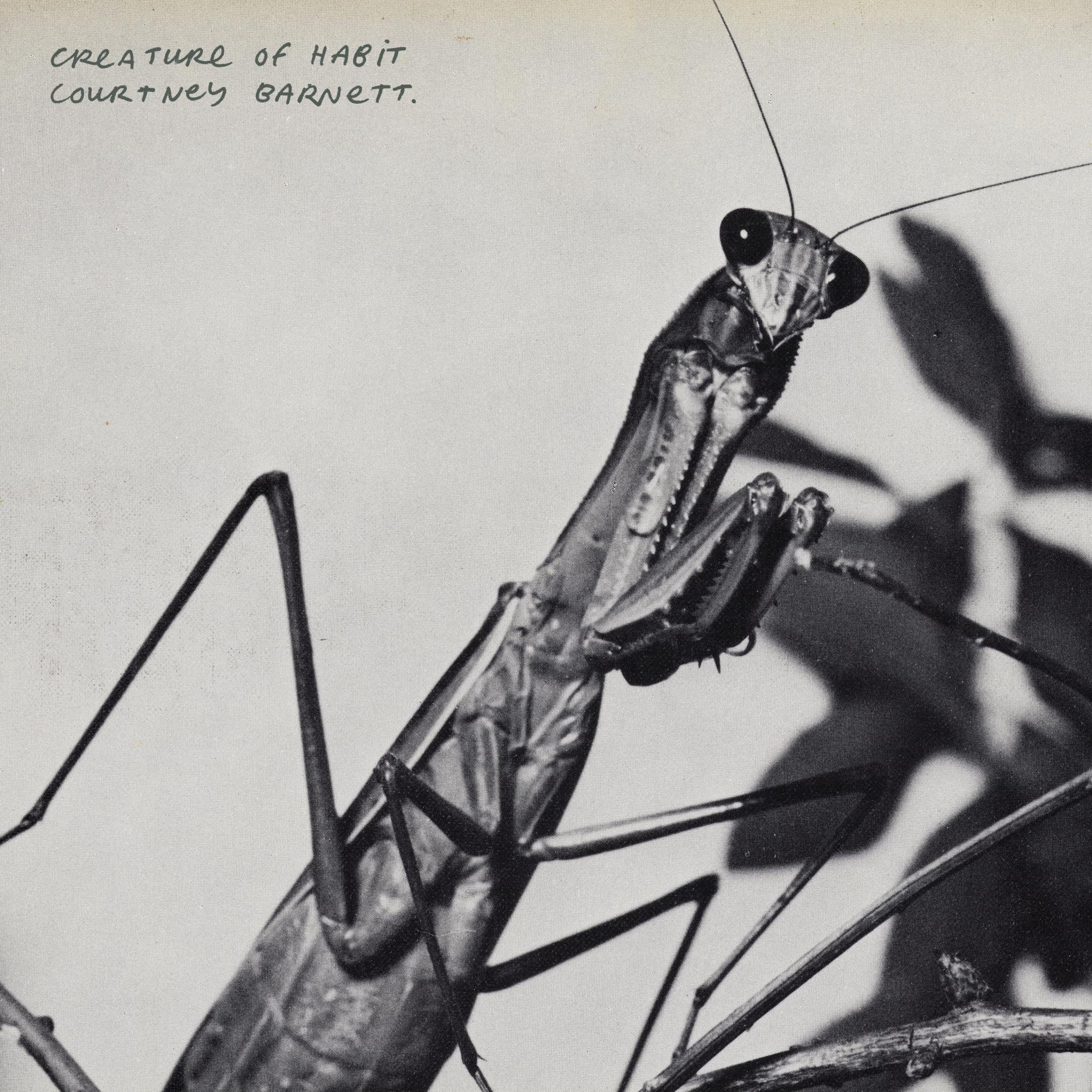 Courtney Barnett - Creature of Habit [CD]