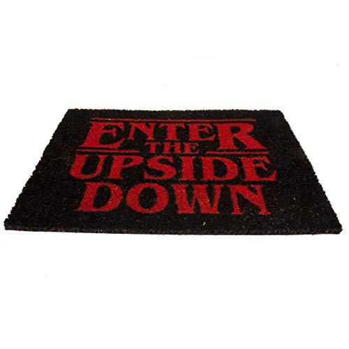 Doormat 40 x 60 cm Enter The World On The Reverse