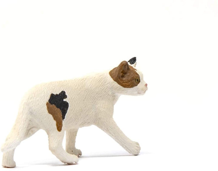 Schleich 13894 American Shorthair Cat