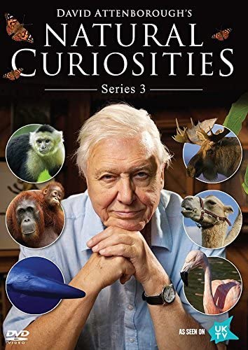David Attenborough's Natural Curiosities - Series 3 - [DVD]