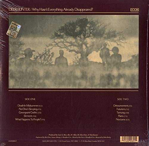 Why Hasn't Everything Already Disappeared? [Vinyl]
