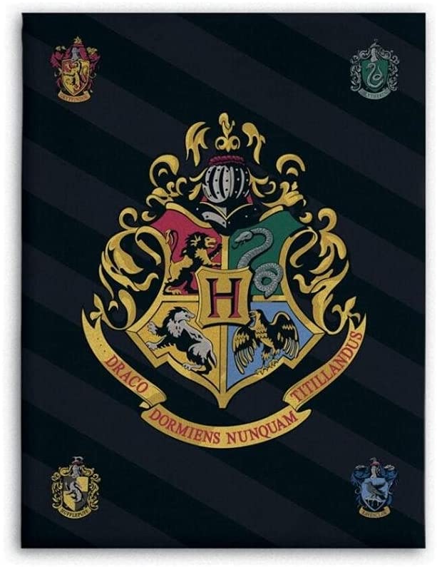 Gamesland Harry Potter Fleece Blanket 100 x 140 cm